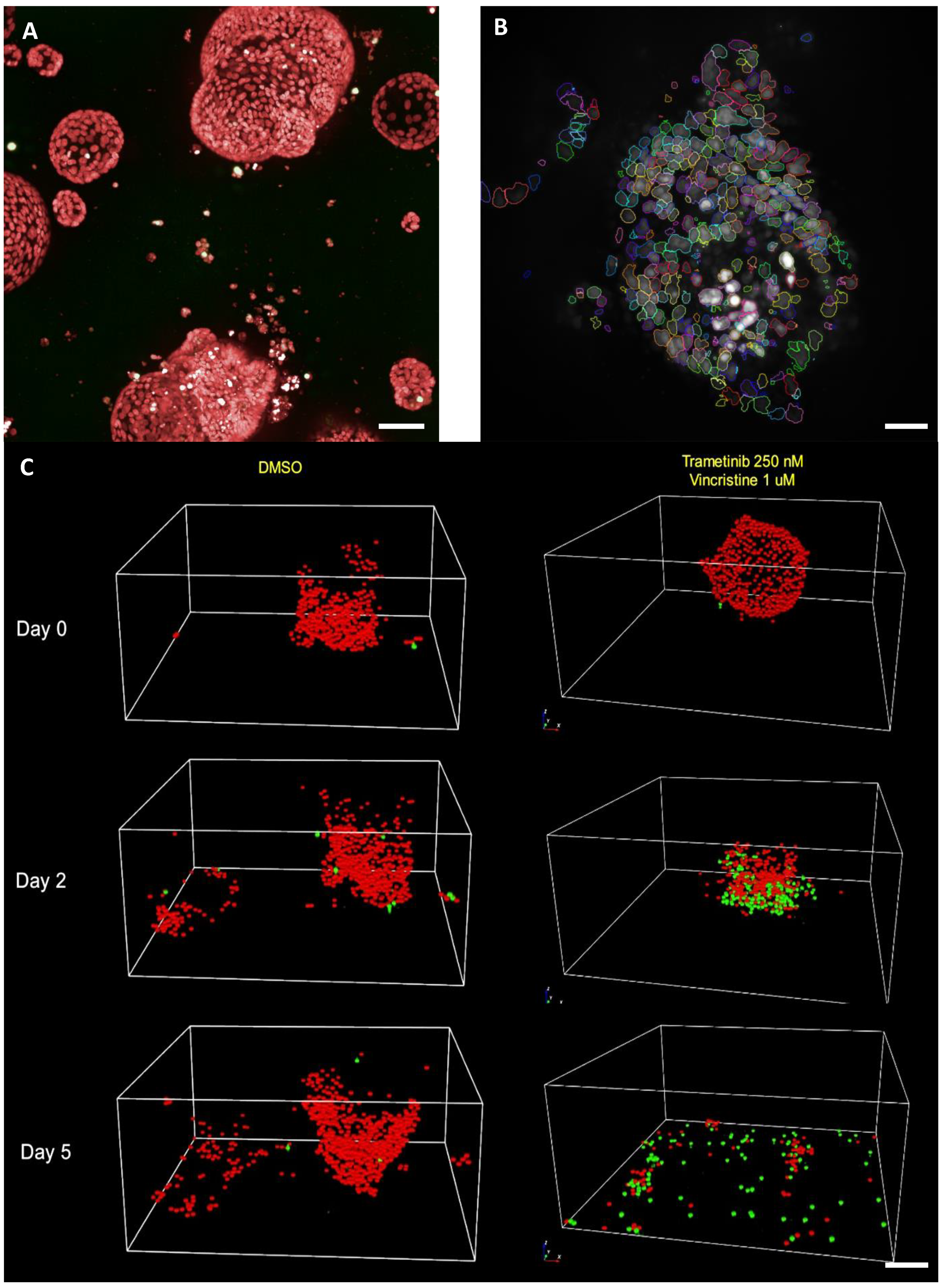 Cancers 14 00525 g003 550
