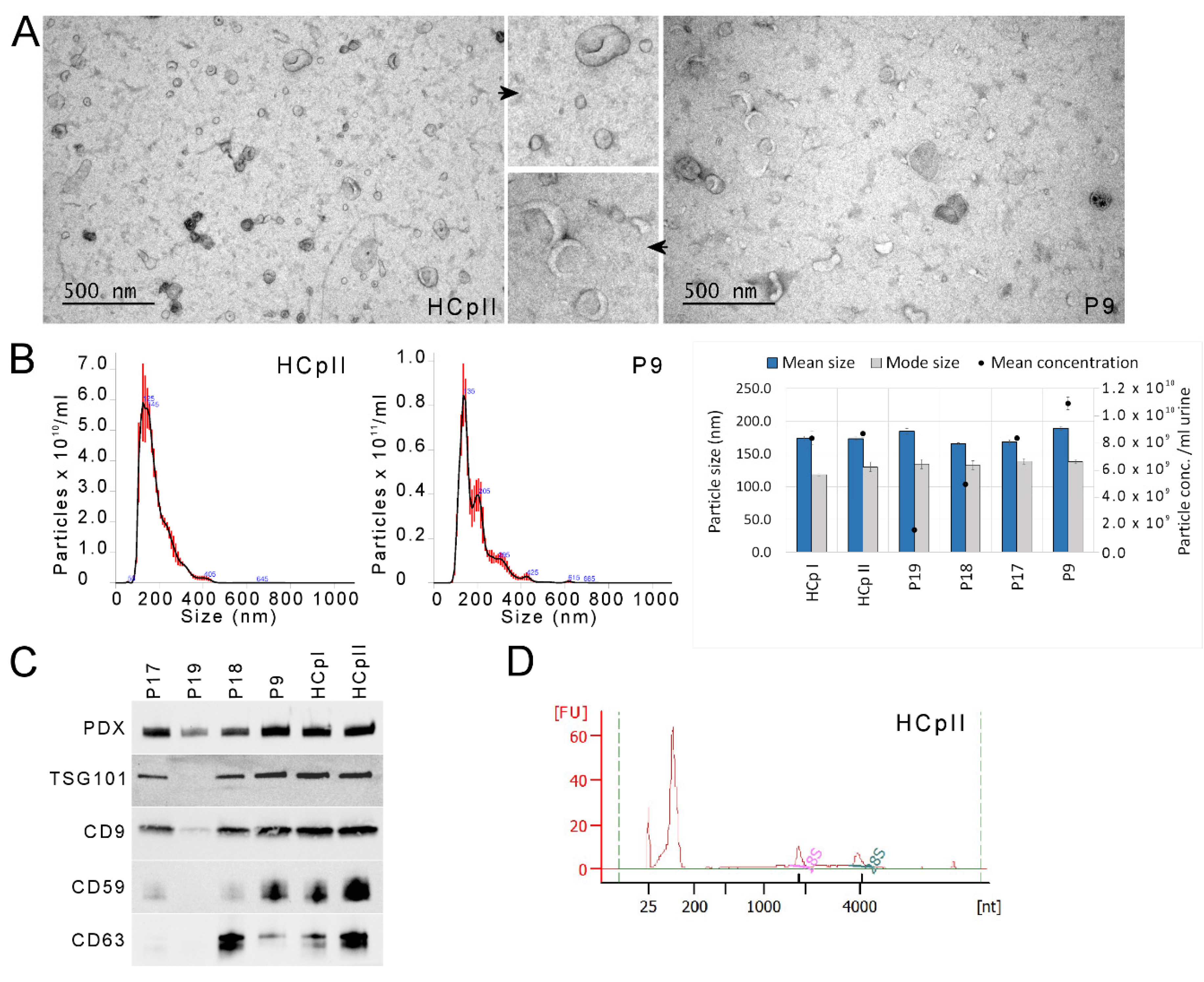 Cancers 14 00532 g002 550