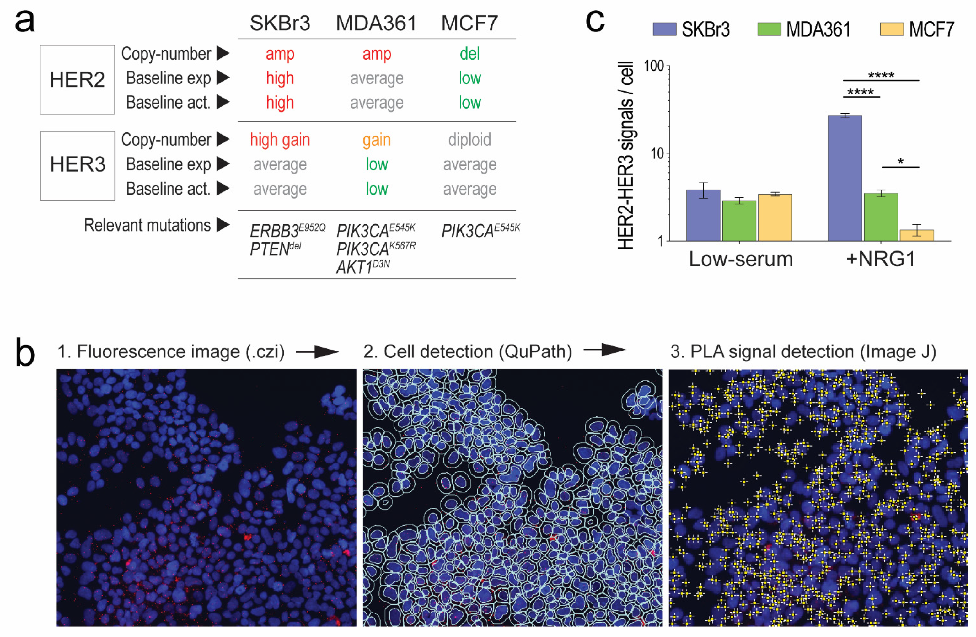 Cancers 14 00533 g001 Cancers 14 00533 g001