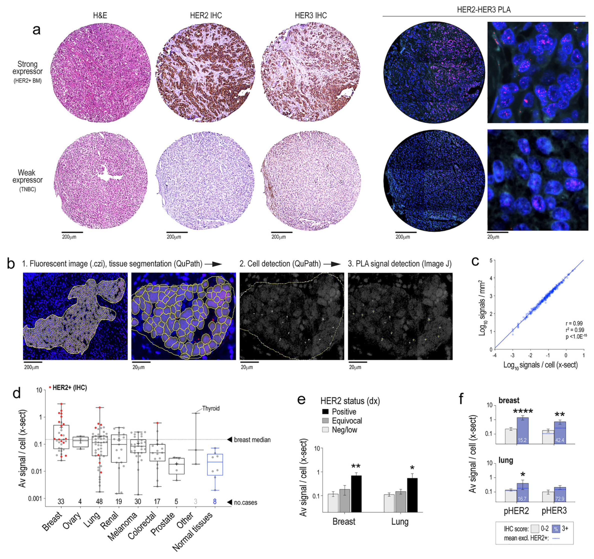 Cancers 14 00533 g002 Cancers 14 00533 g002