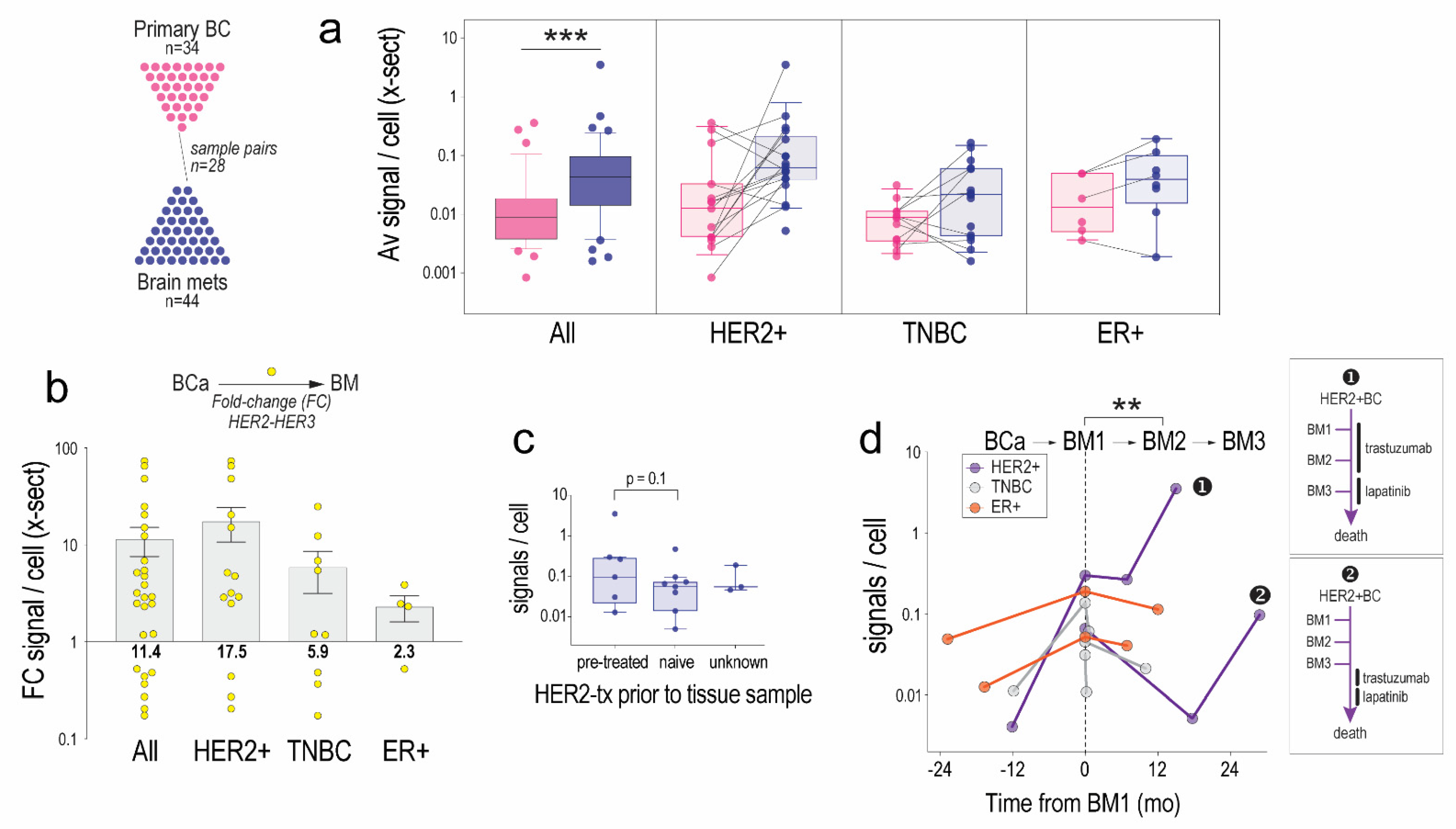 Cancers 14 00533 g003 Cancers 14 00533 g003
