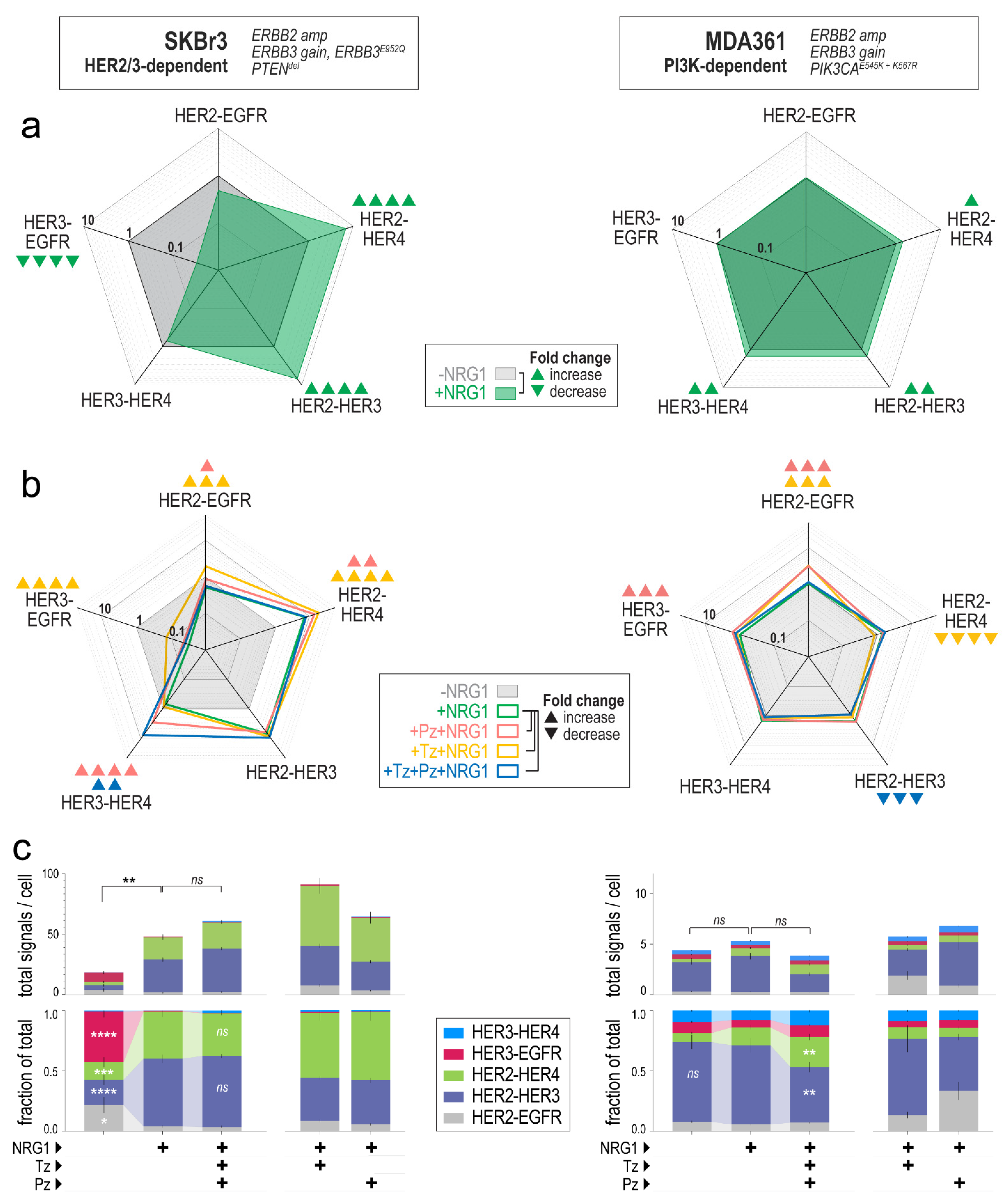 Cancers 14 00533 g004 Cancers 14 00533 g004