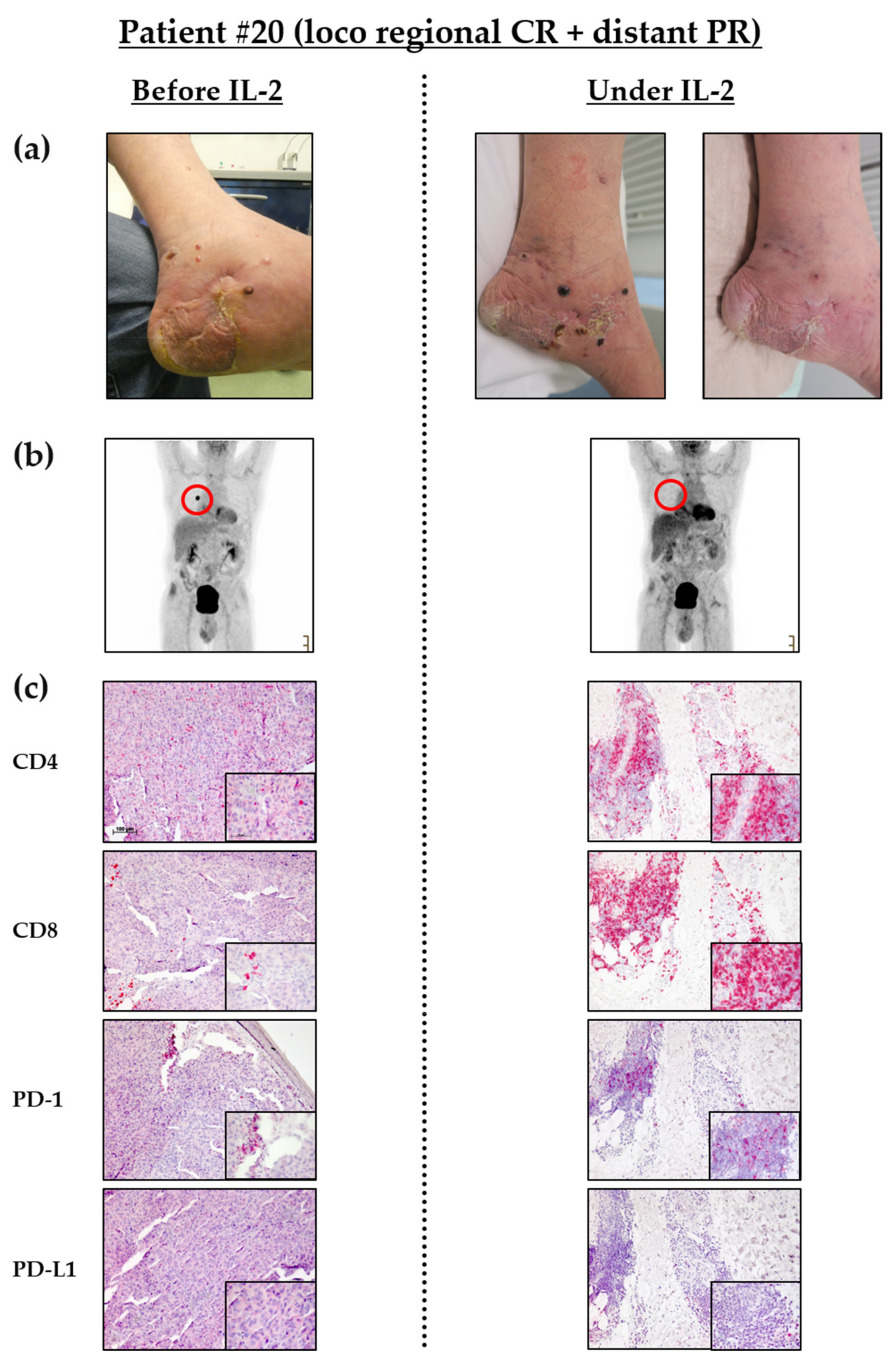 Cancers 14 00540 g006 550