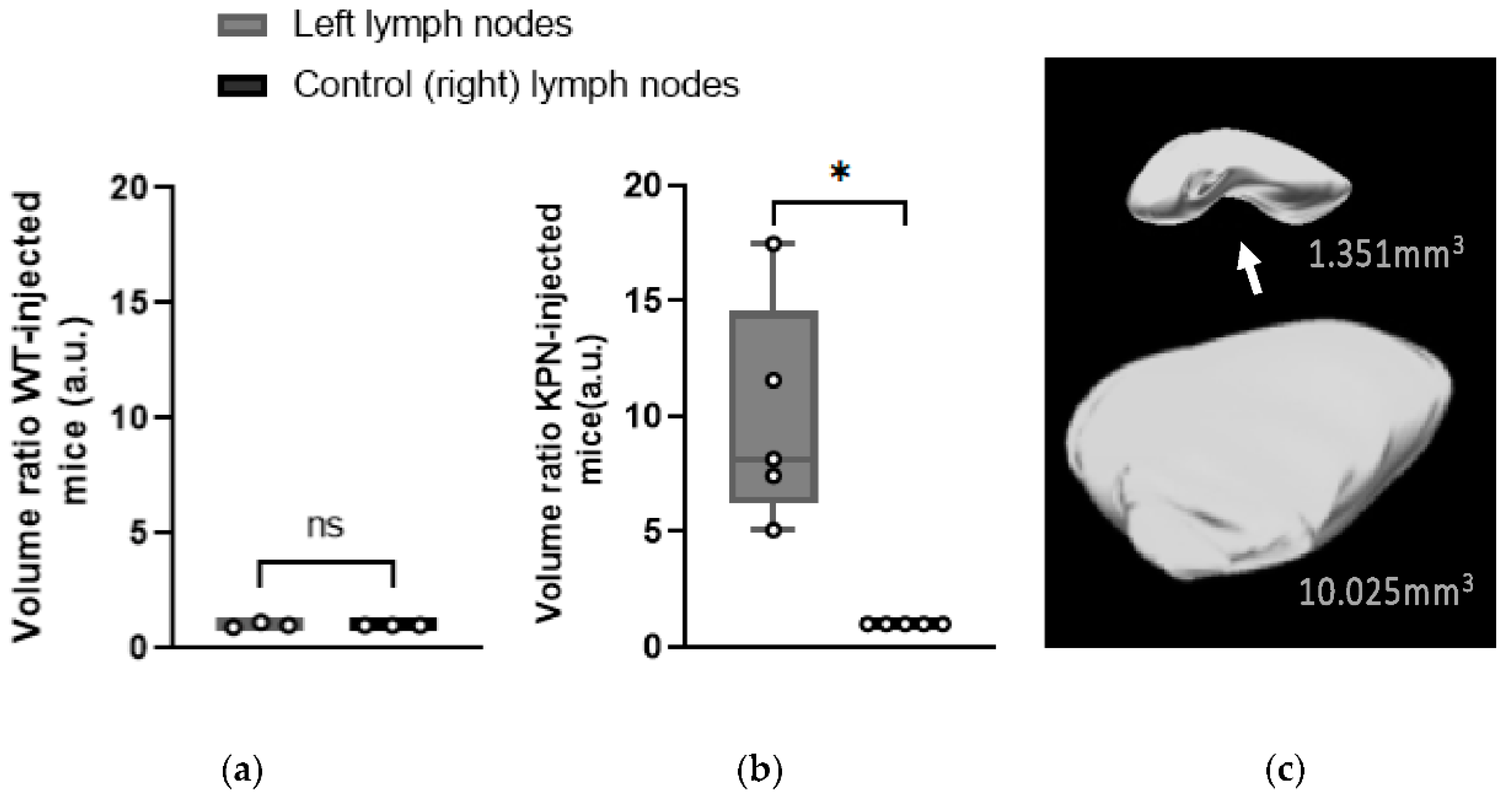Cancers 14 00561 g004