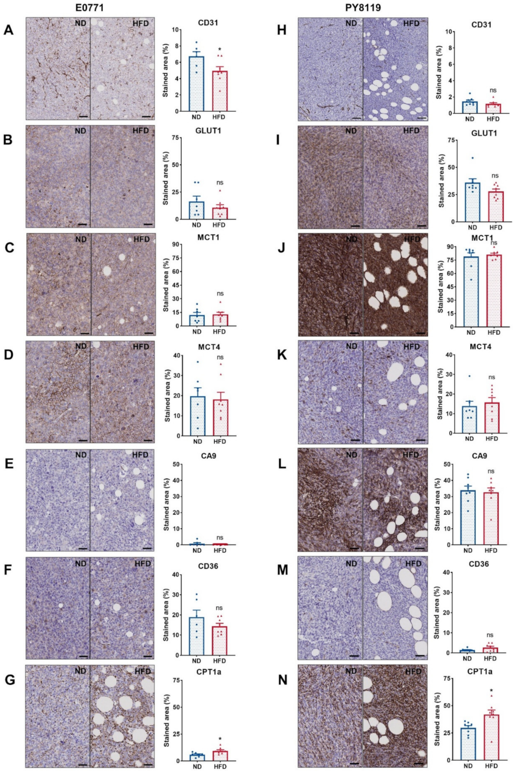 Cancers 14 00562 g005 Cancers 14 00562 g005