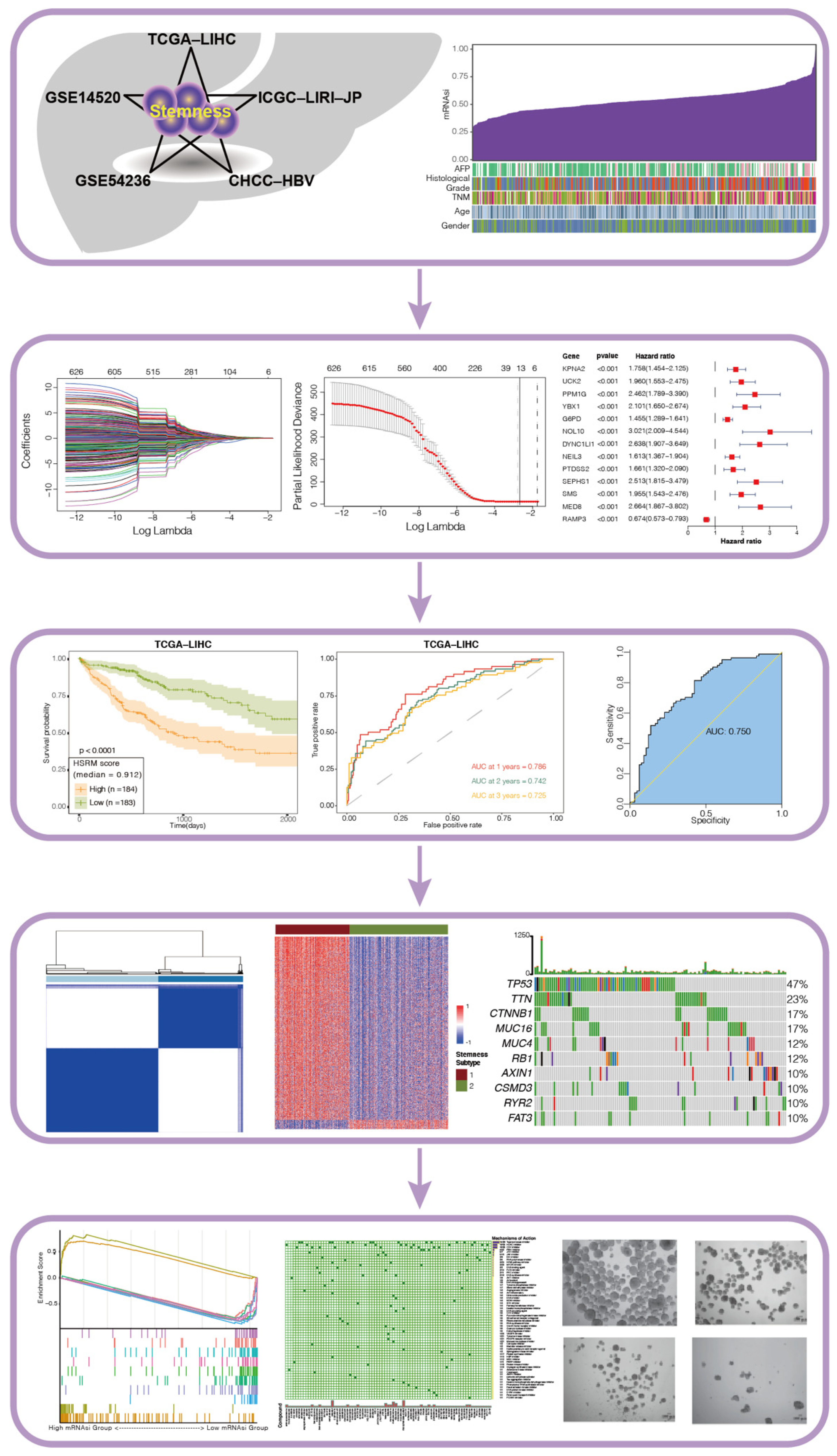 Cancers 14 00563 g001 550