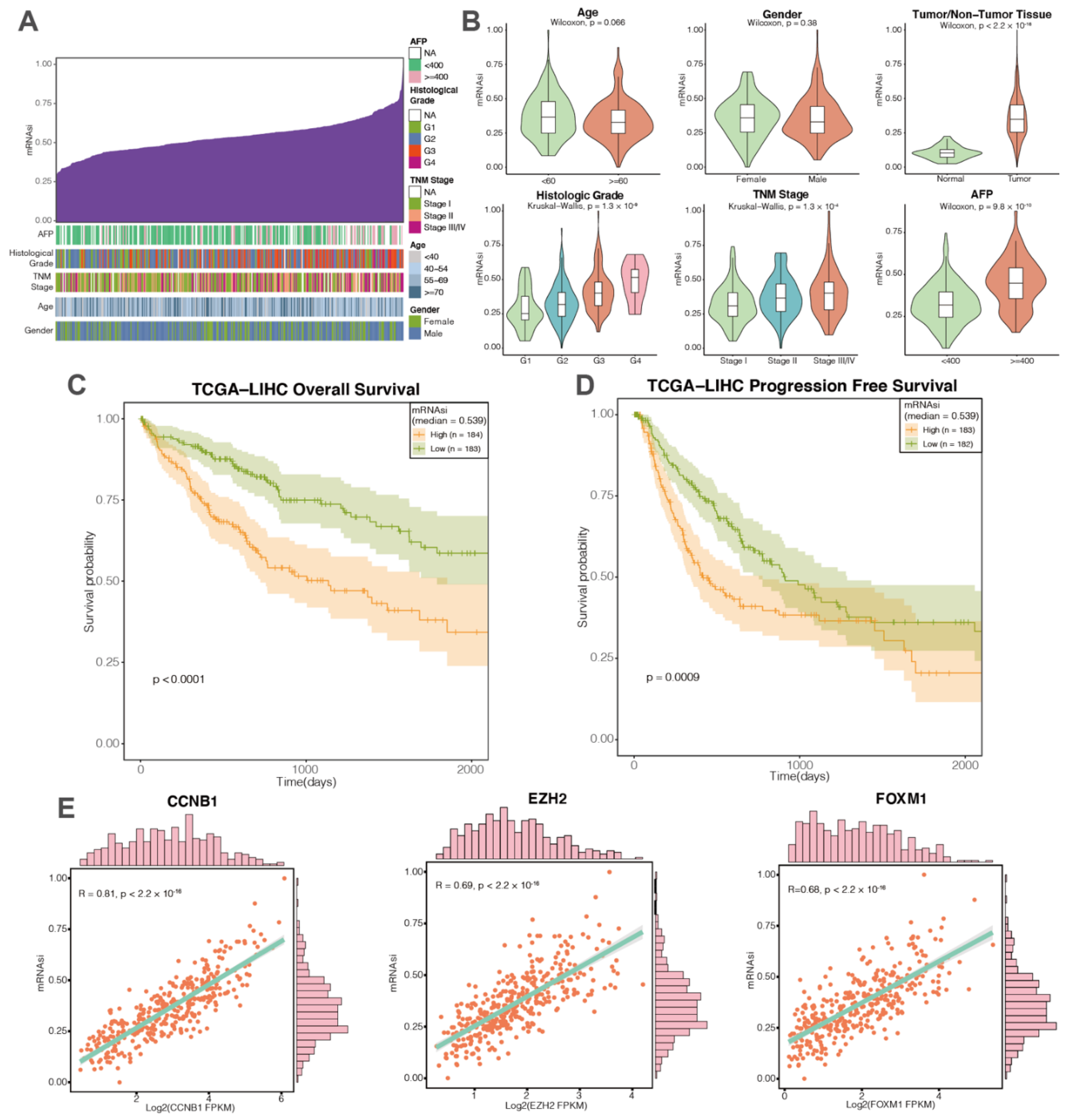 Cancers 14 00563 g002 550