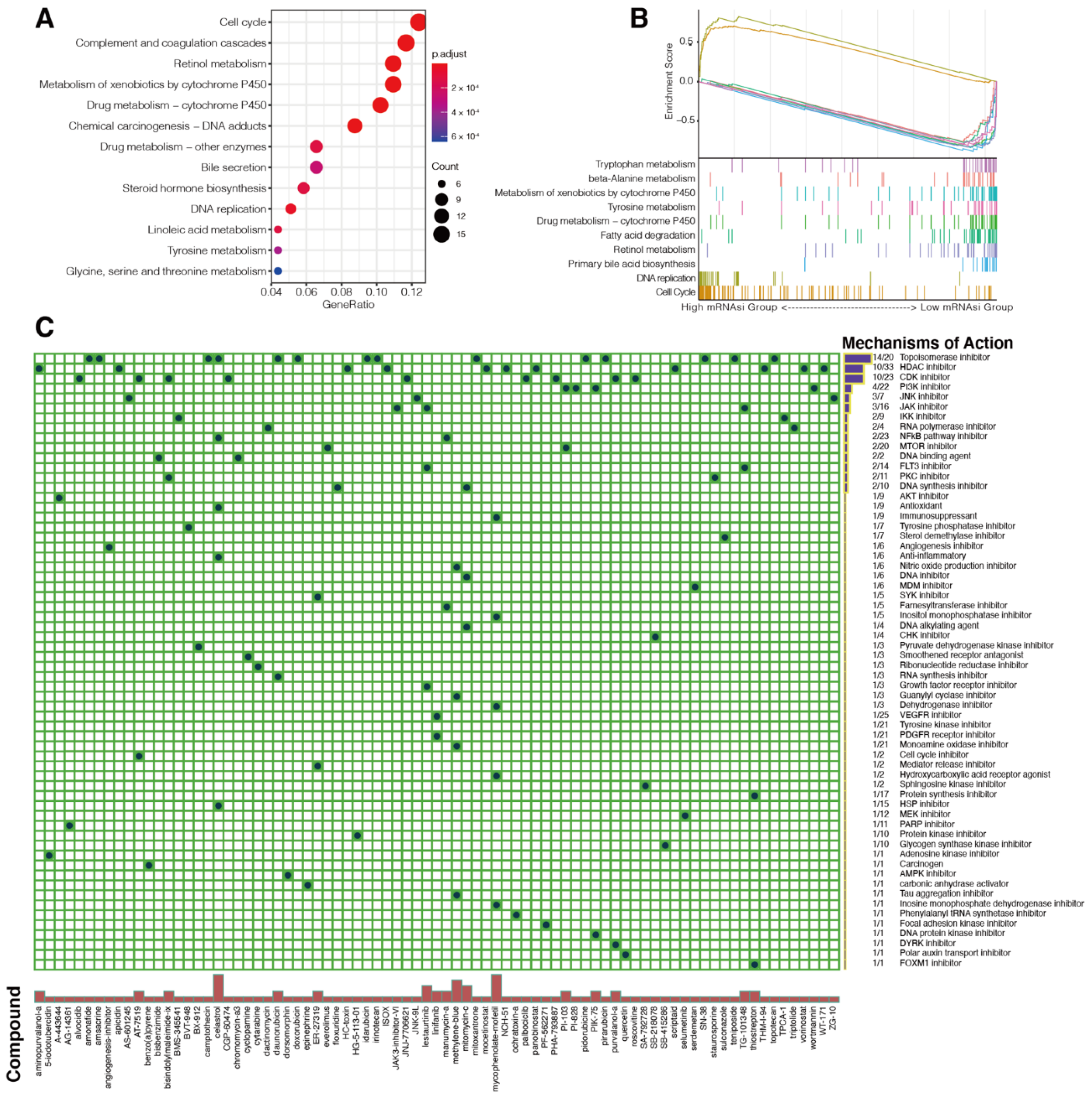 Cancers 14 00563 g007 550