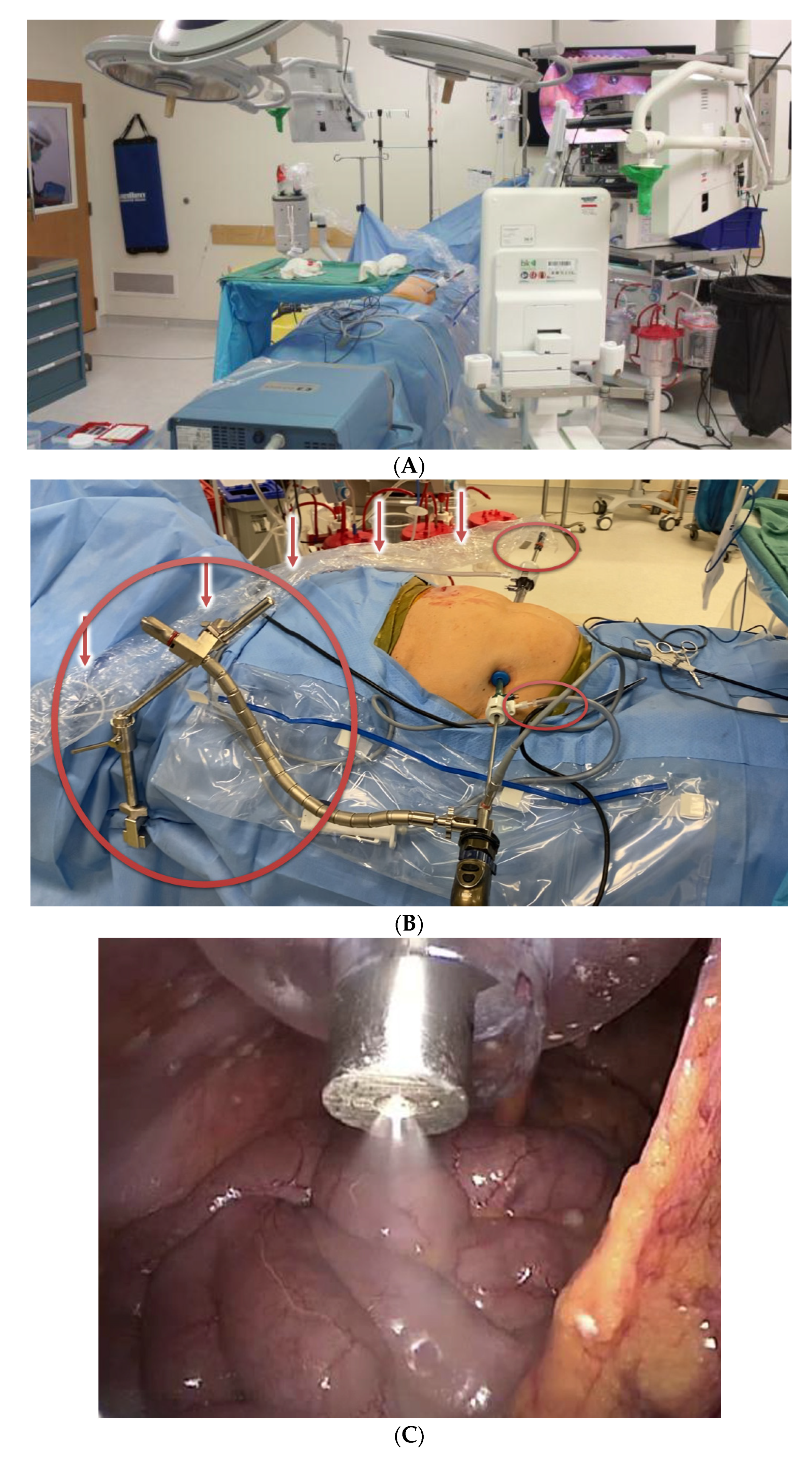 Cancers 14 00570 g002 Cancers 14 00570 g002