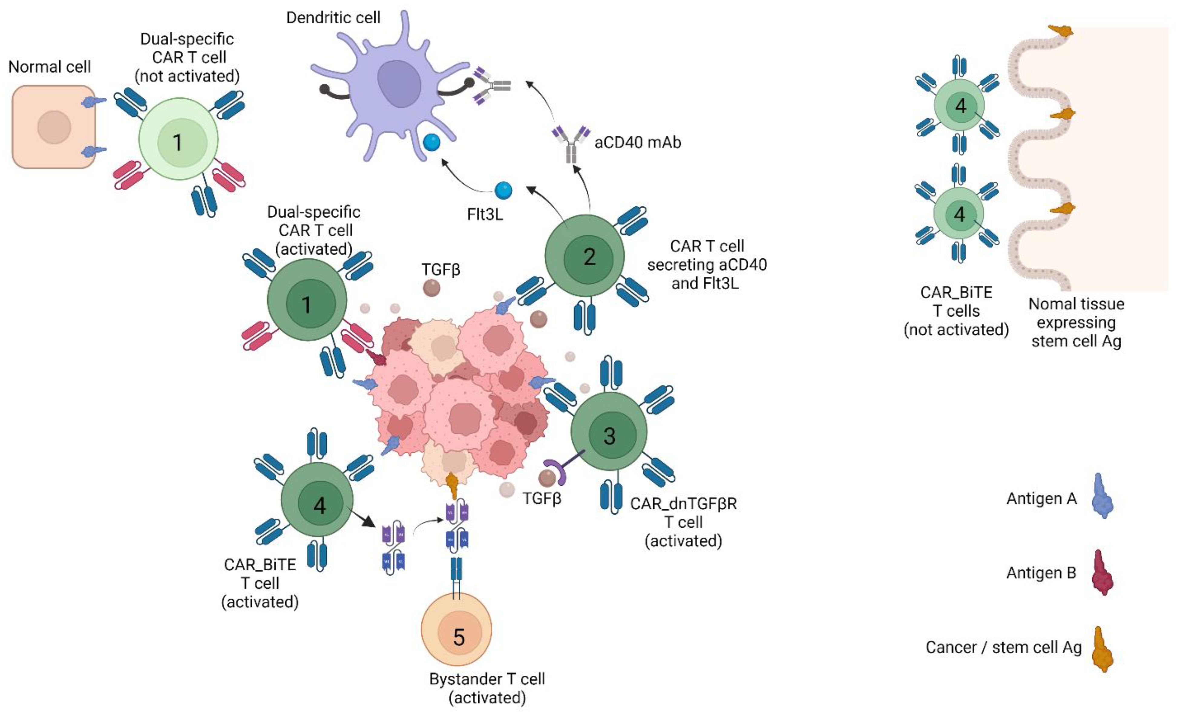 Cancers 14 00571 g001 550