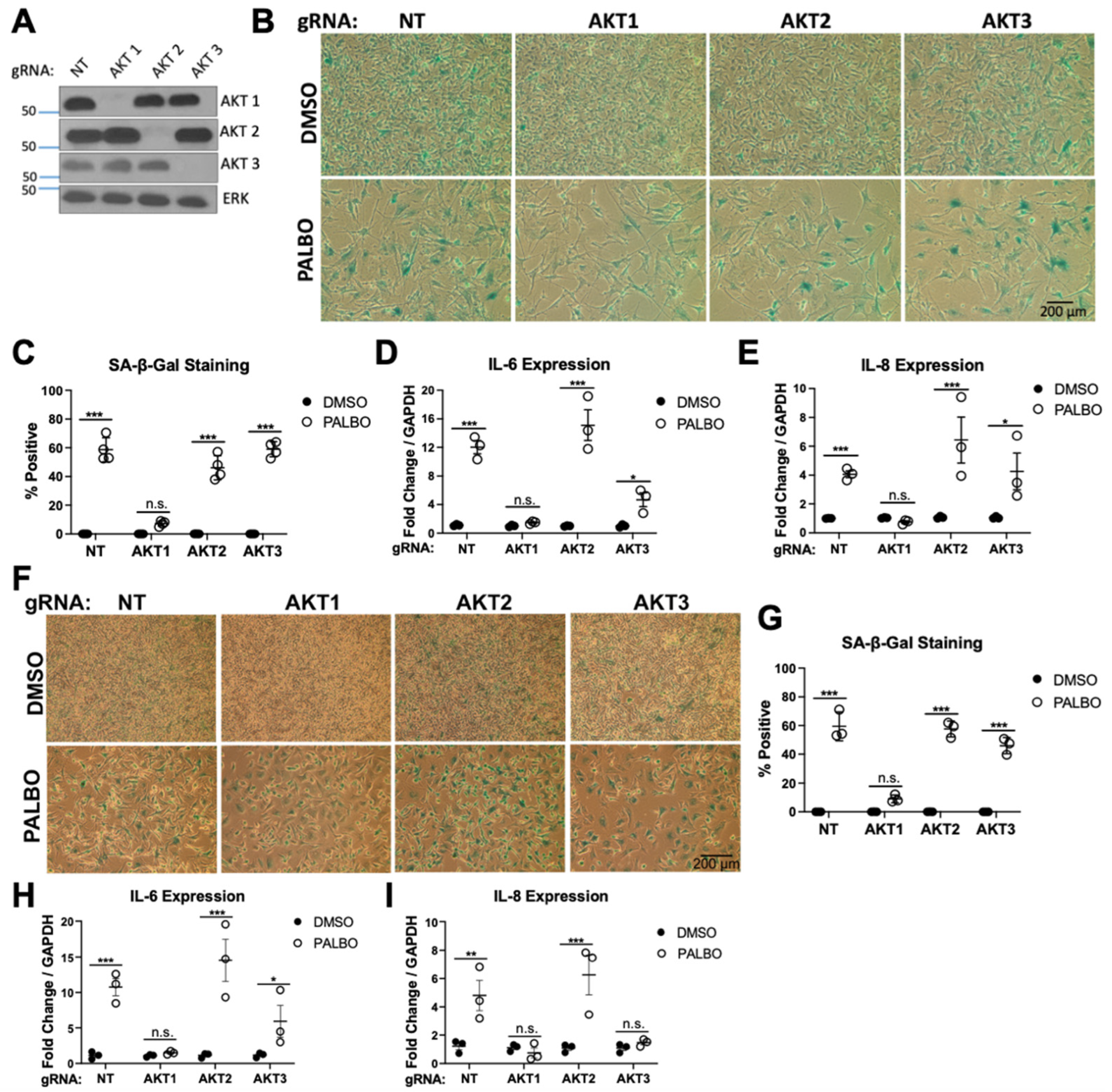 Cancers 14 00572 g001 550