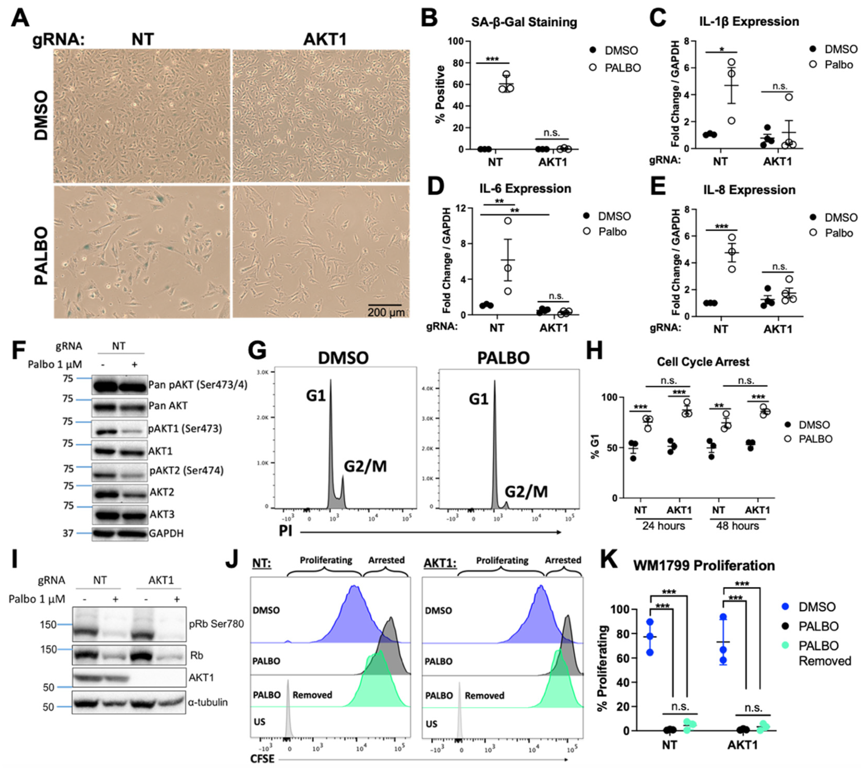 Cancers 14 00572 g002 550
