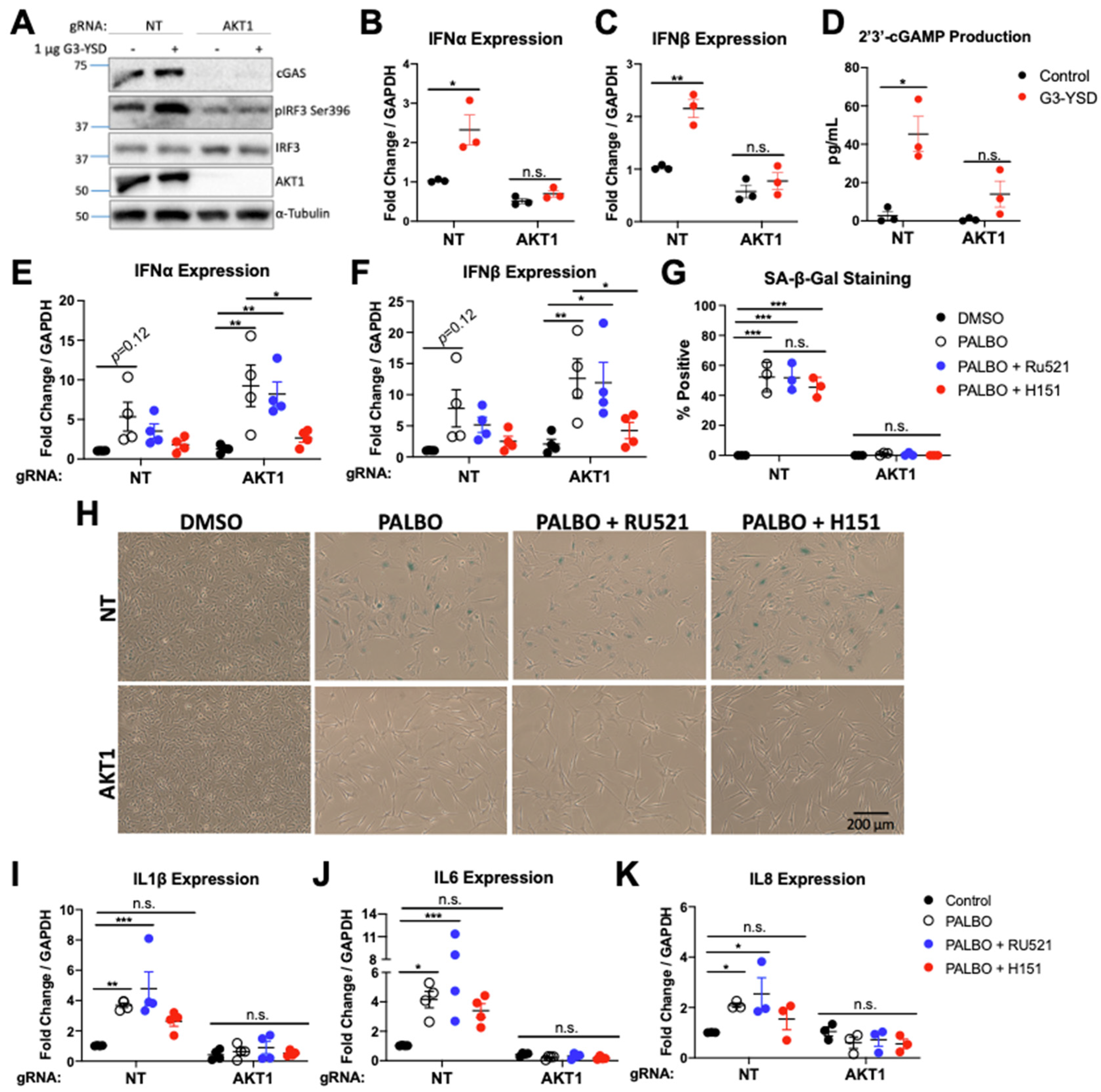 Cancers 14 00572 g003 550