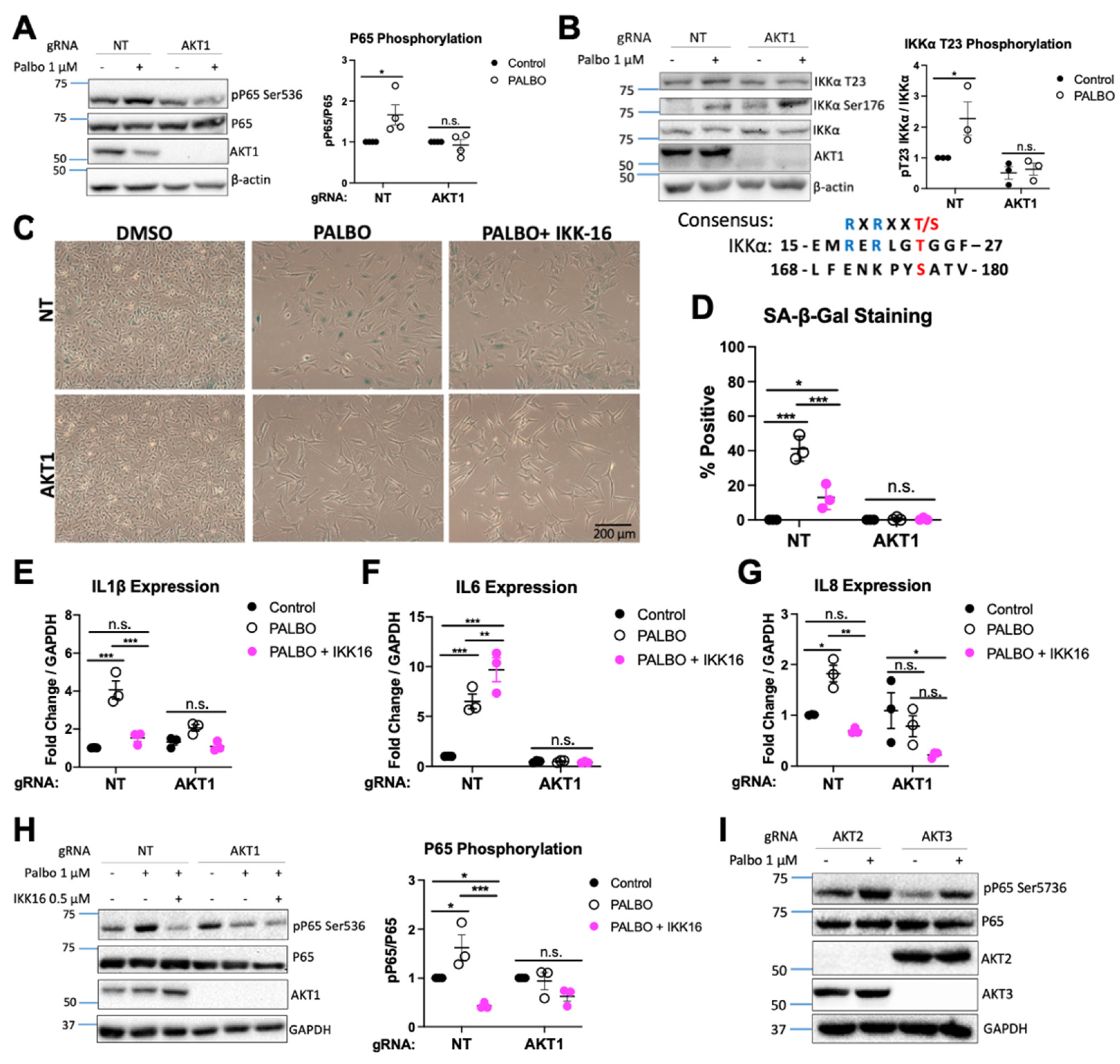 Cancers 14 00572 g004 550