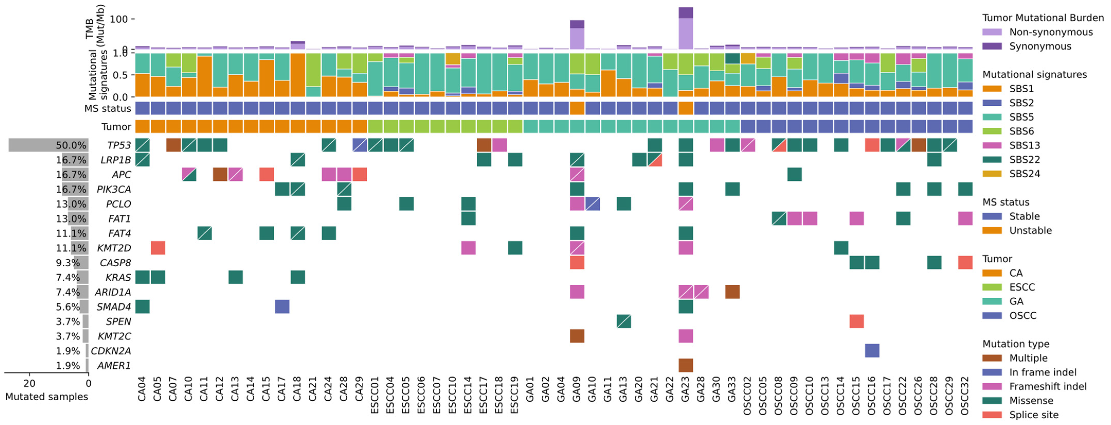 Cancers 14 00576 g004