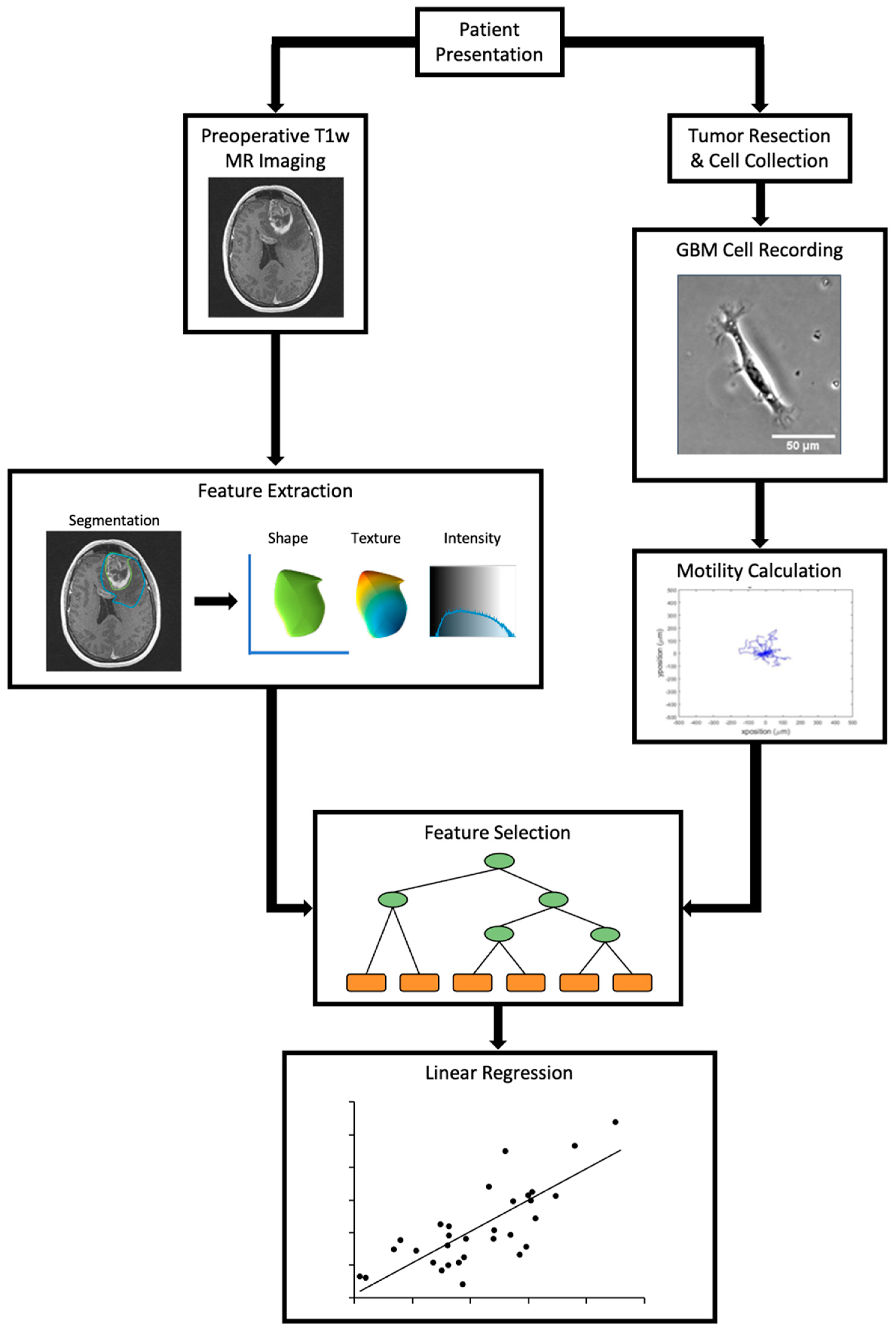 Cancers 14 00578 g001 550