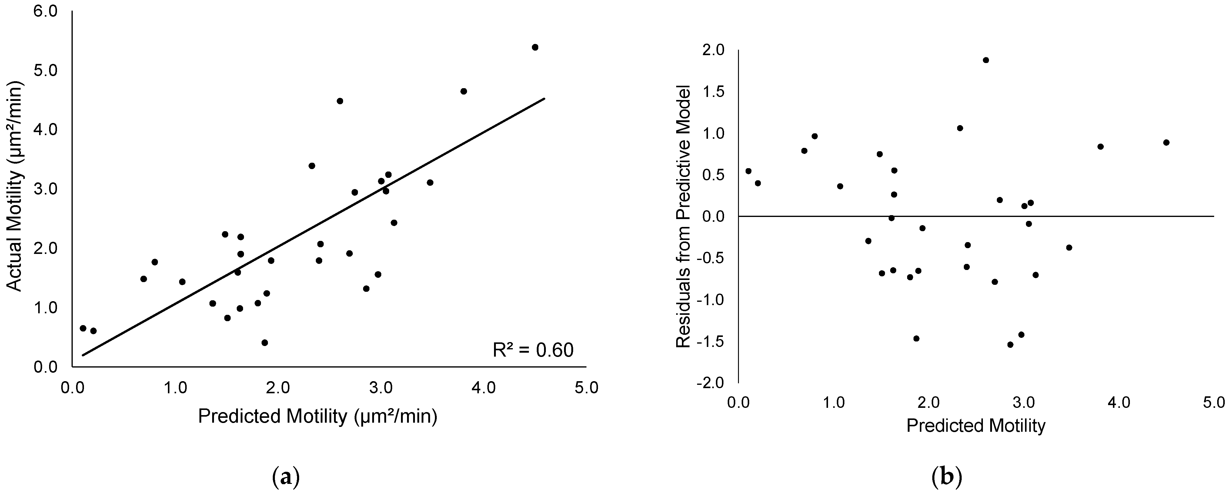 Cancers 14 00578 g002 550