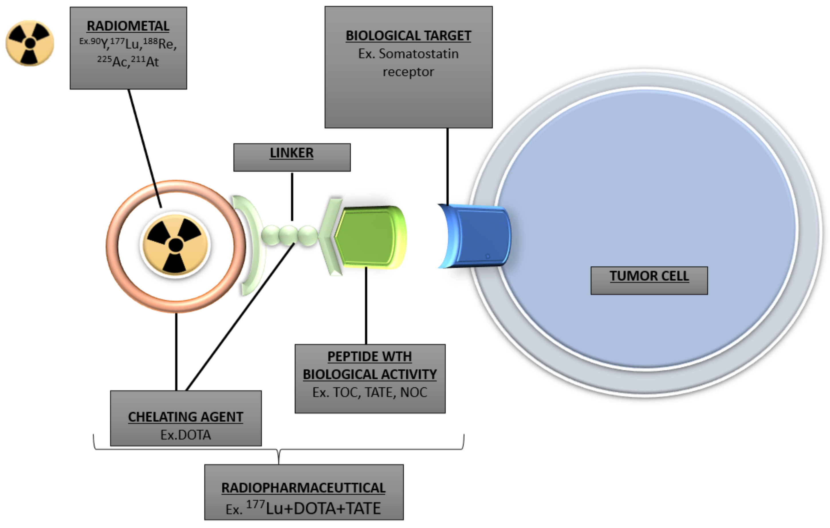 Cancers | Free Full-Text | Peptide Receptor Radionuclide Therapy with  [177Lu]Lu-DOTA-TATE in Patients with Advanced GEP NENS: Present and Future  Directions
