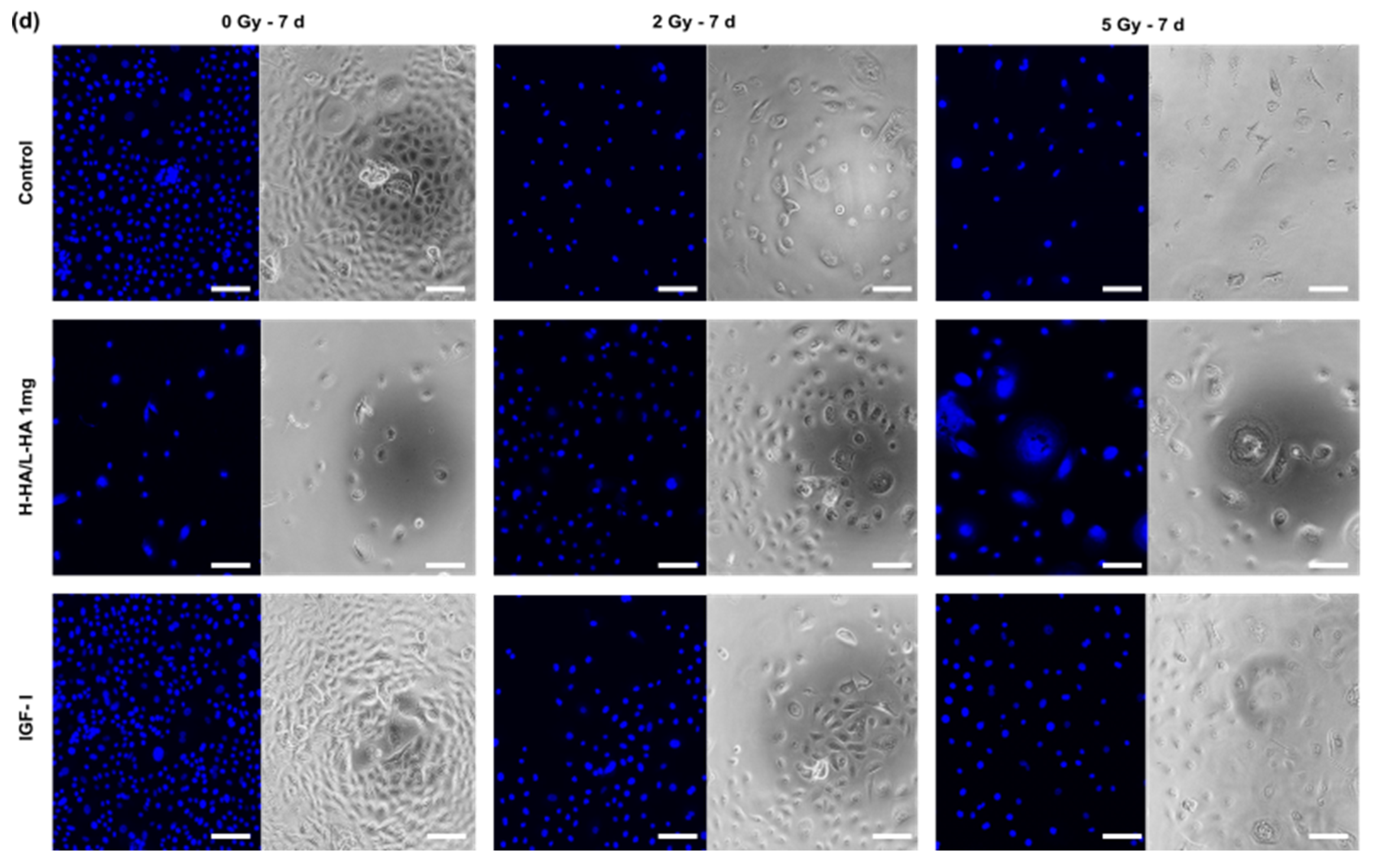 Cancers 14 00588 g002b 550