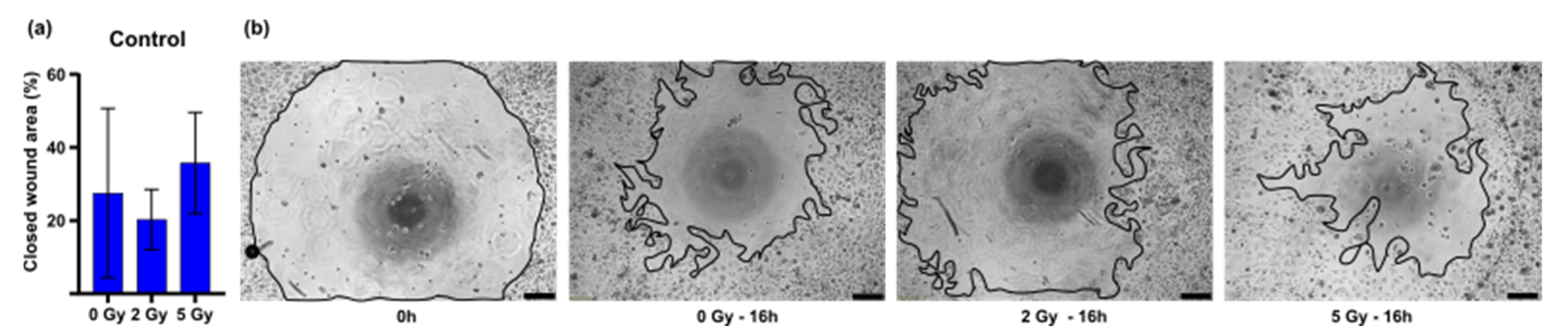 Cancers 14 00588 g003 550