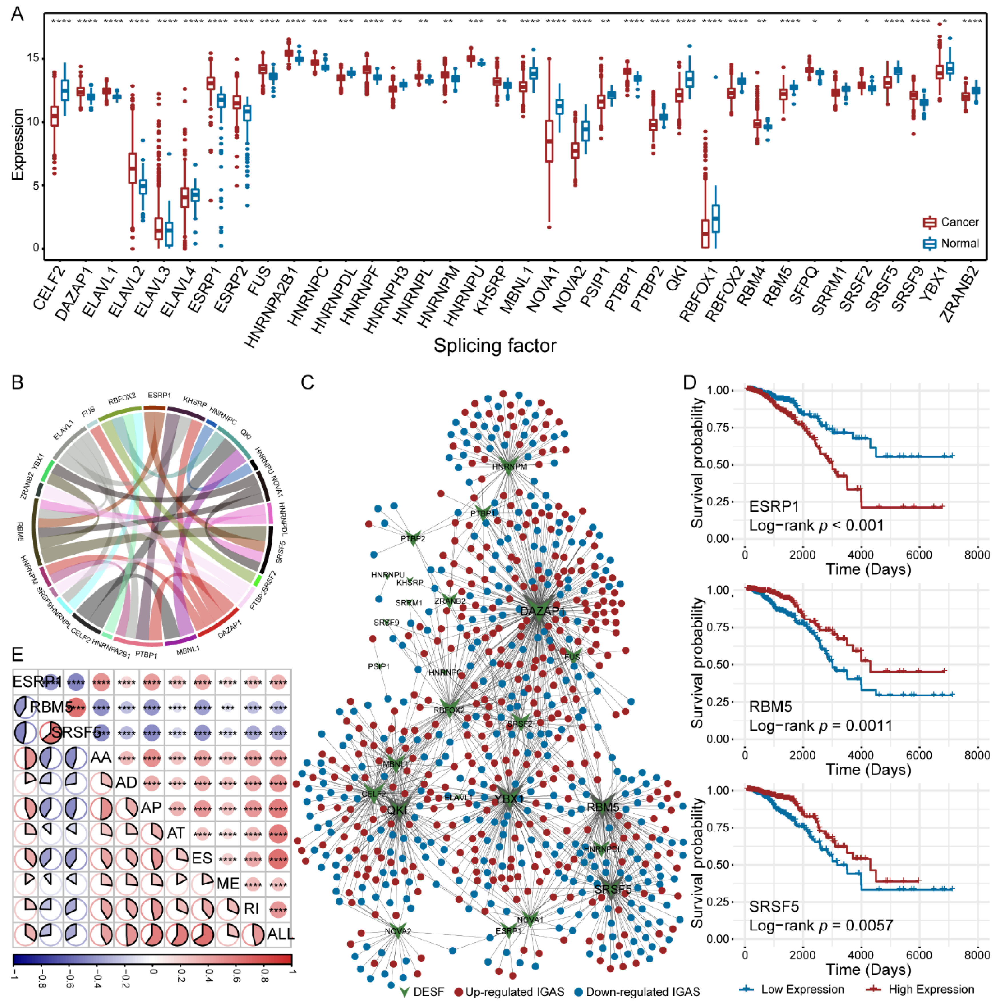 Cancers 14 00595 g003