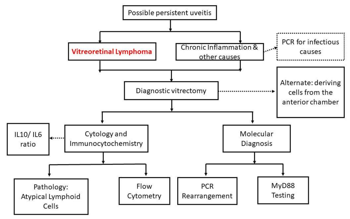 Cancers 14 00598 g001 Cancers 14 00598 g001