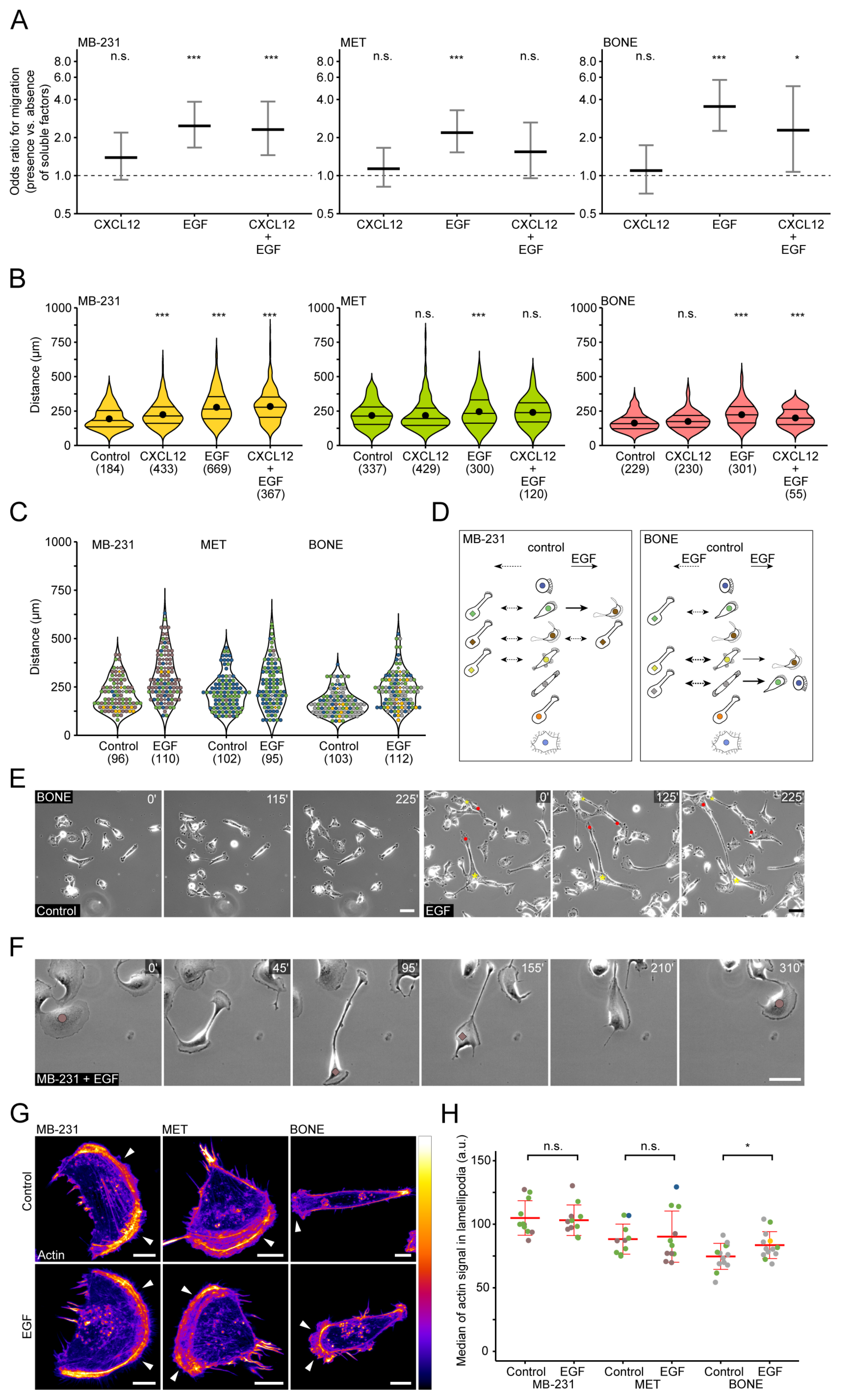 Cancers 14 00603 g004 Cancers 14 00603 g004