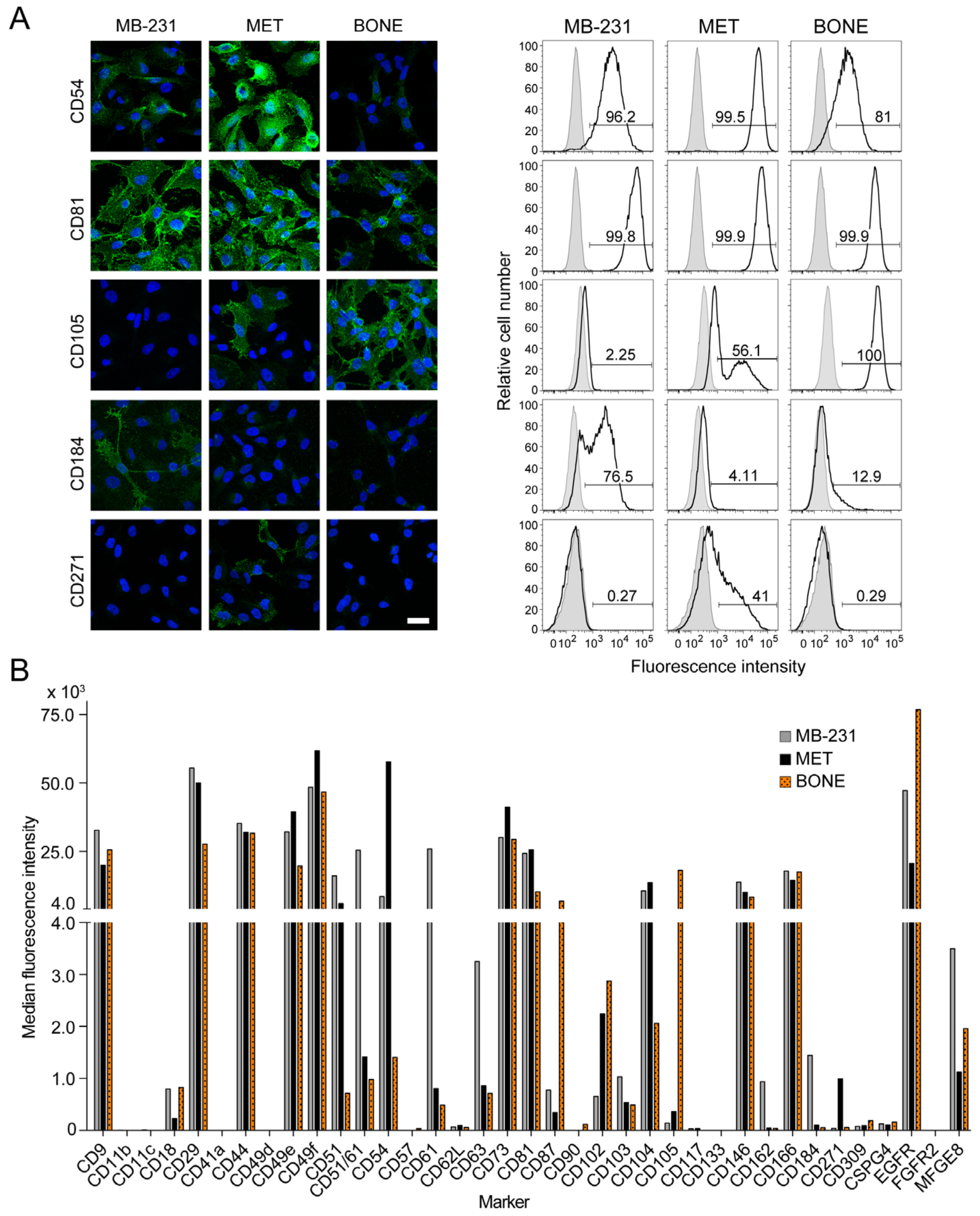 Cancers 14 00603 g005 Cancers 14 00603 g005