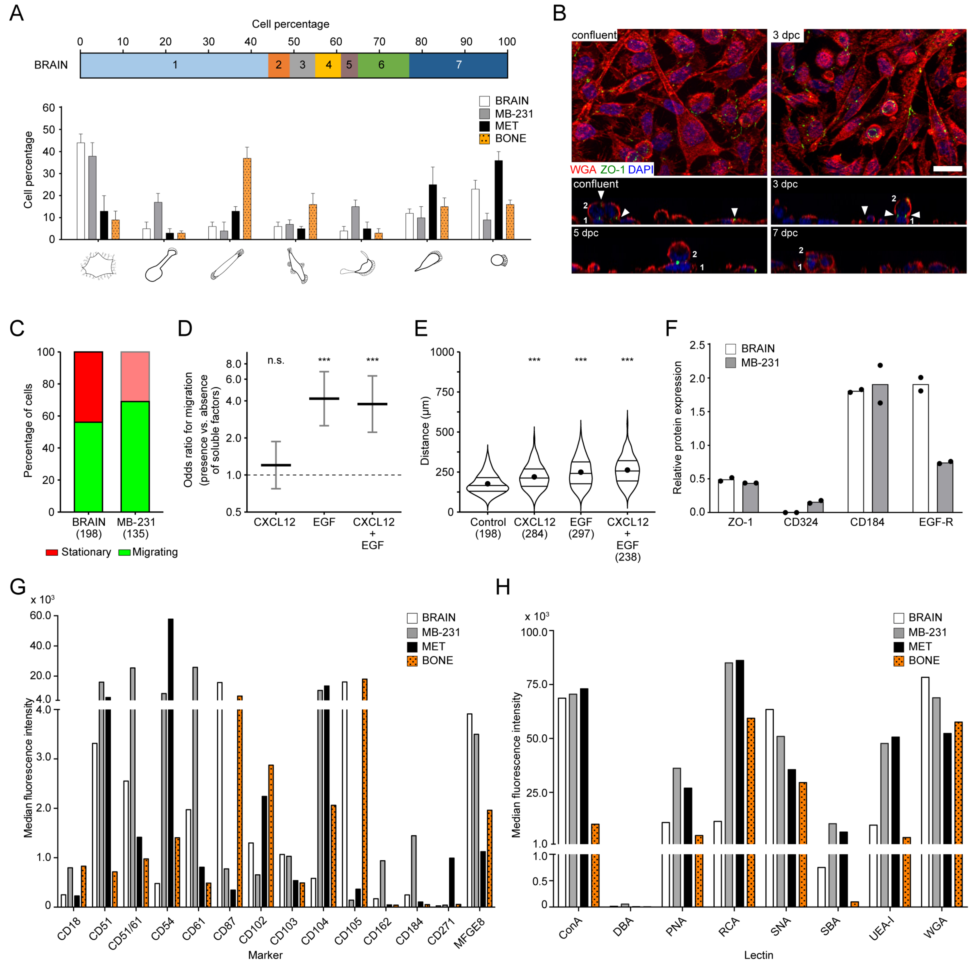 Cancers 14 00603 g007 Cancers 14 00603 g007
