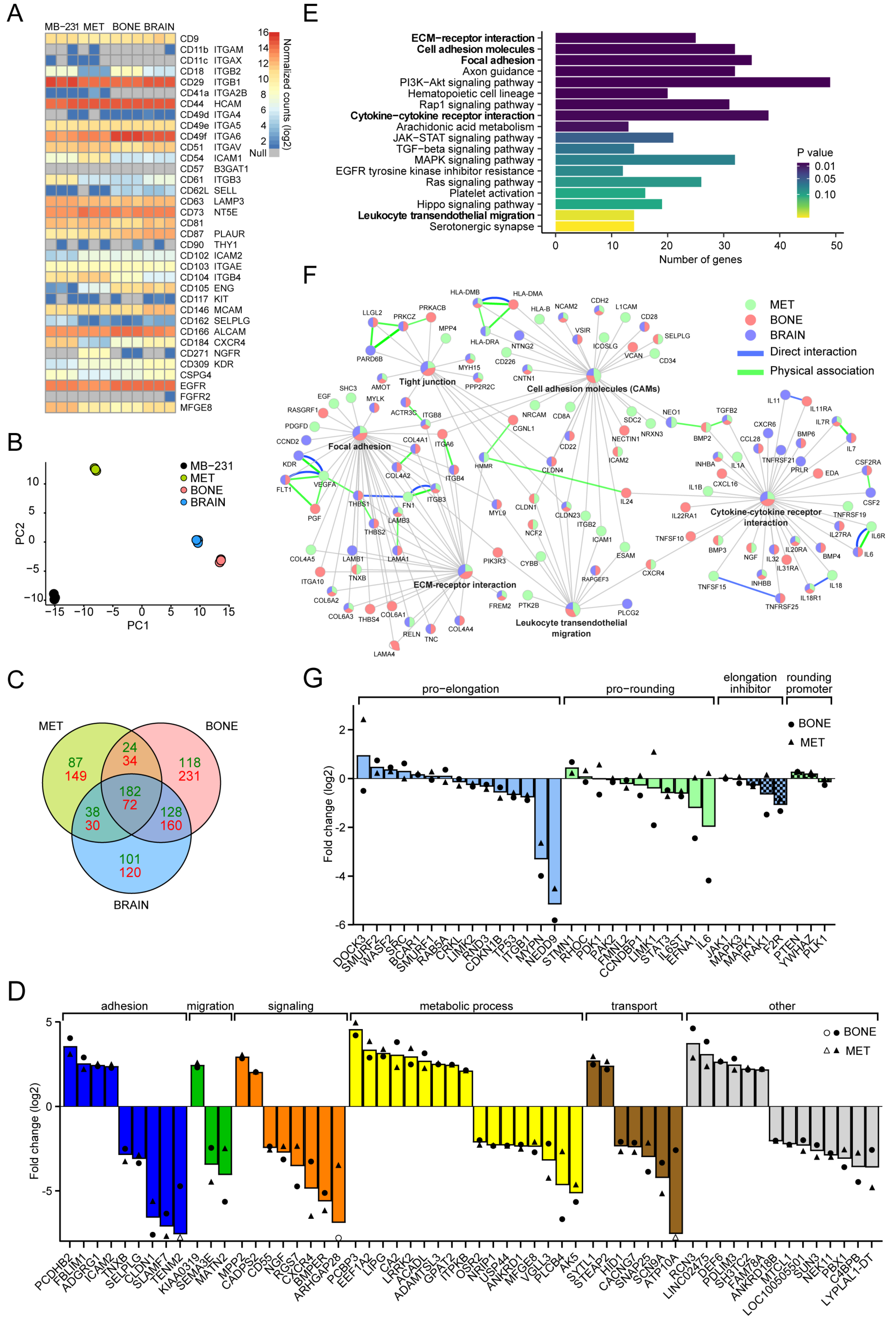 Cancers 14 00603 g009 Cancers 14 00603 g009
