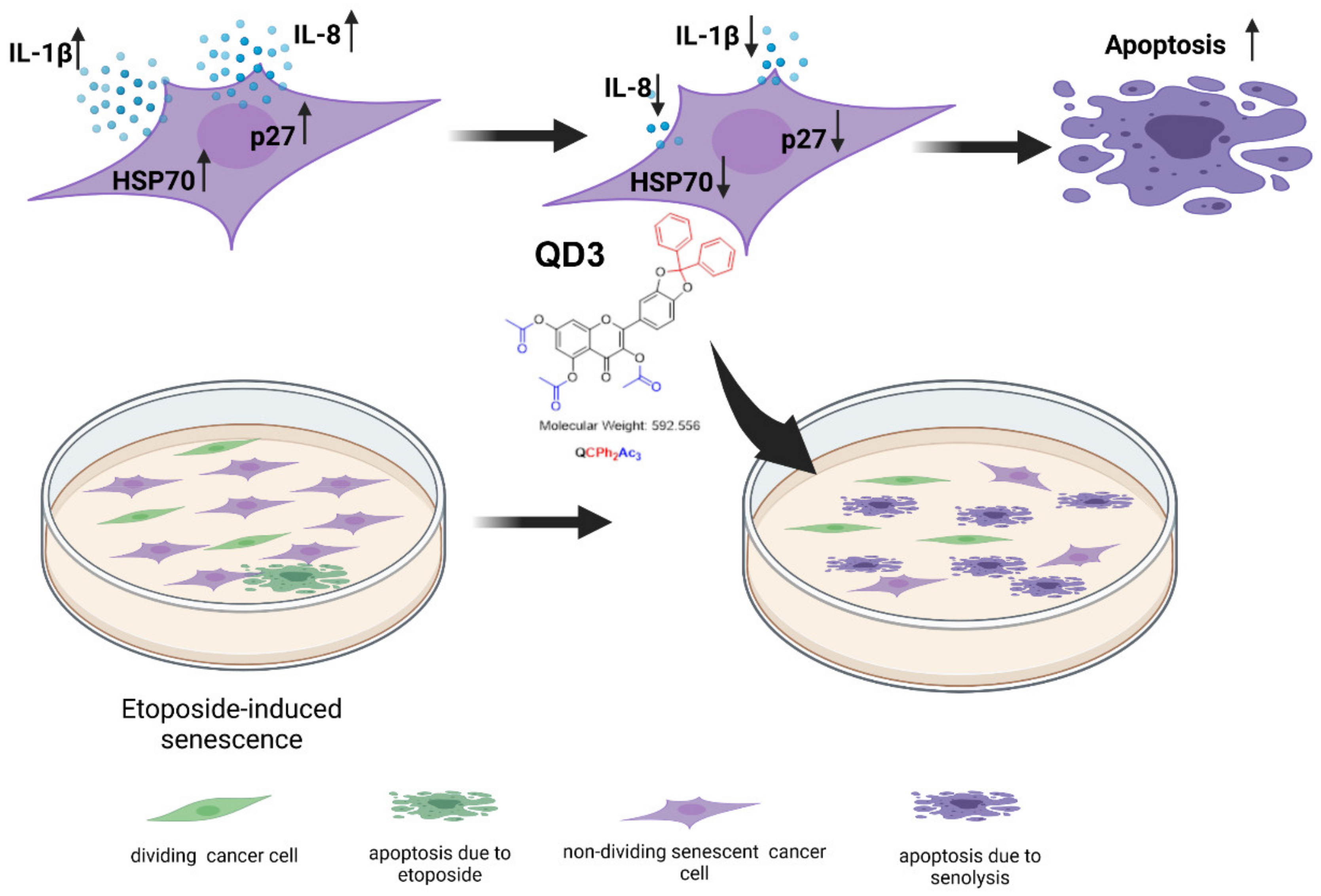 Cancers 14 00605 g004 550