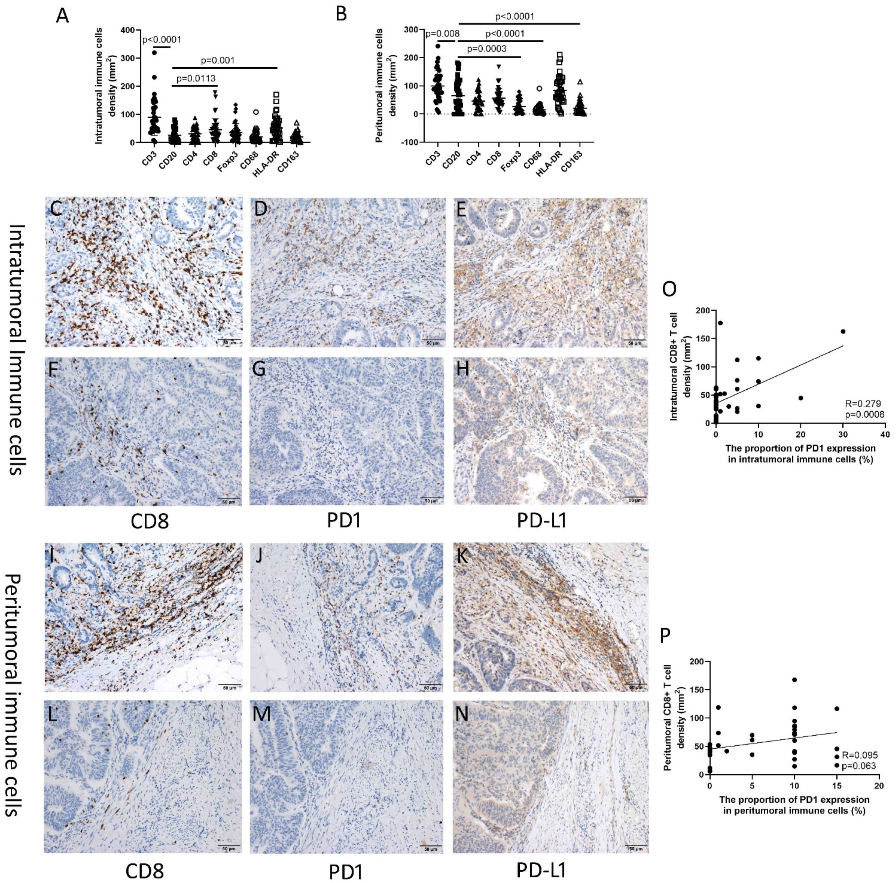 Cancers 14 00615 g001 Cancers 14 00615 g001