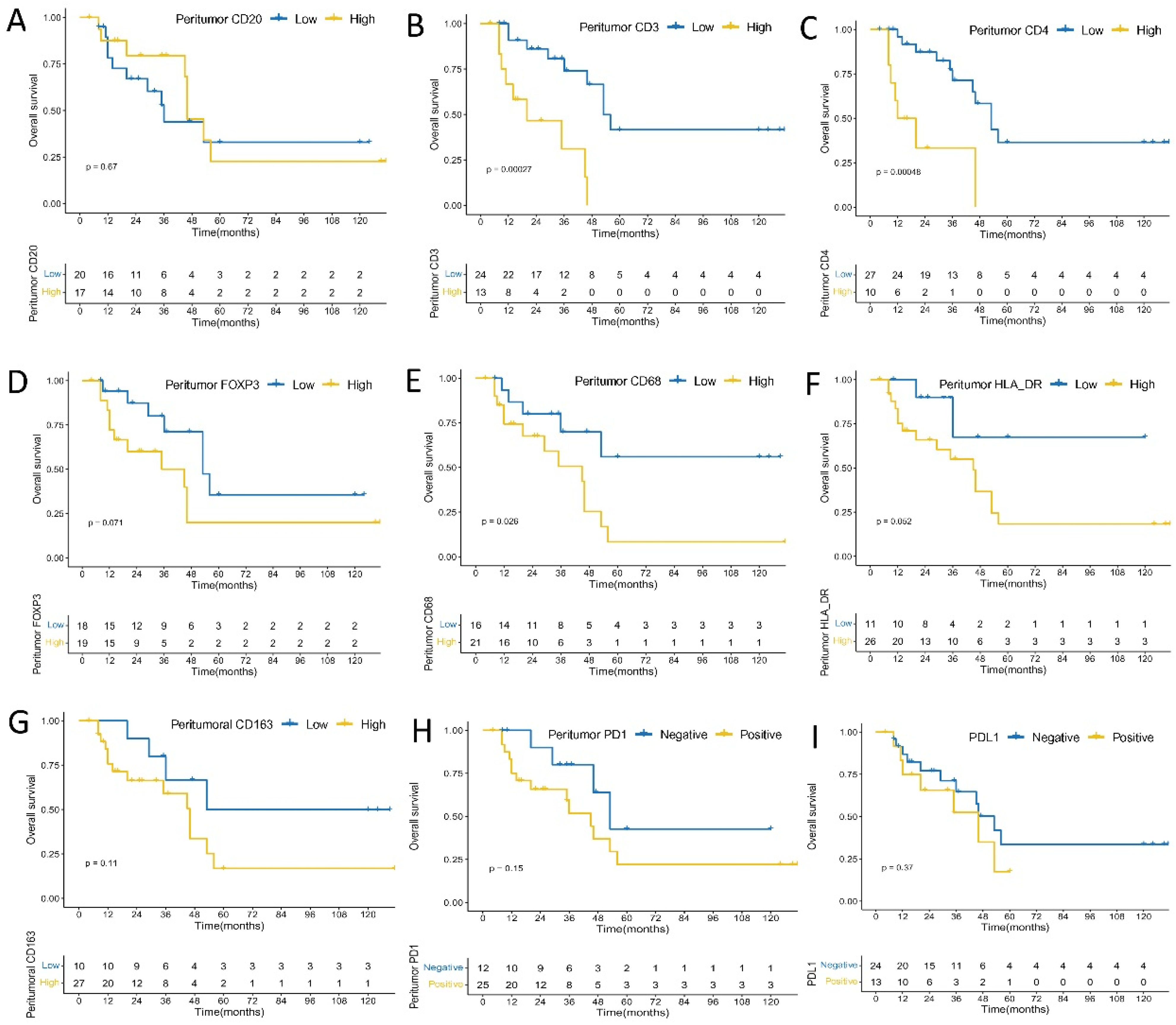 Cancers 14 00615 g003 Cancers 14 00615 g003