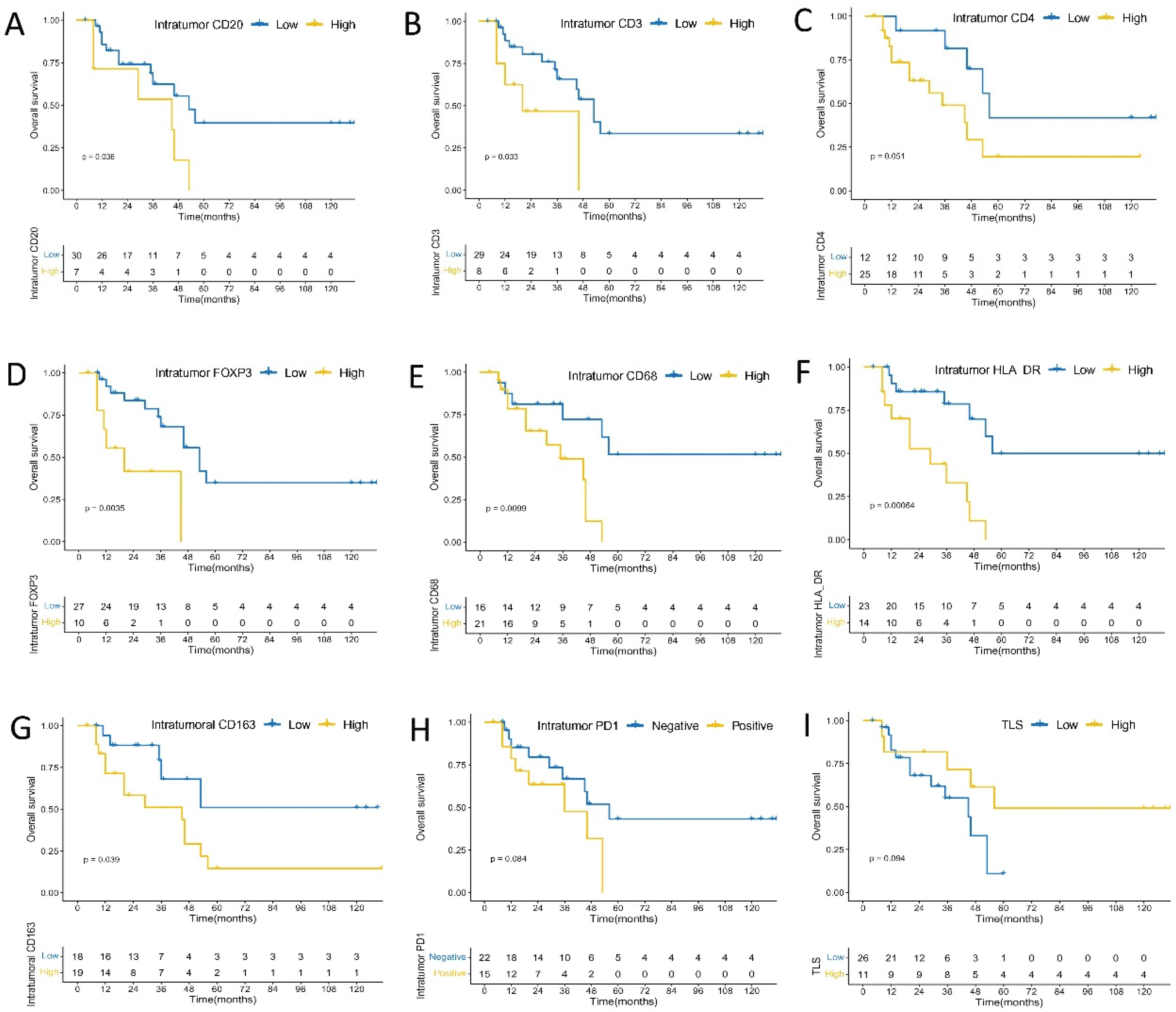 Cancers 14 00615 g005 Cancers 14 00615 g005
