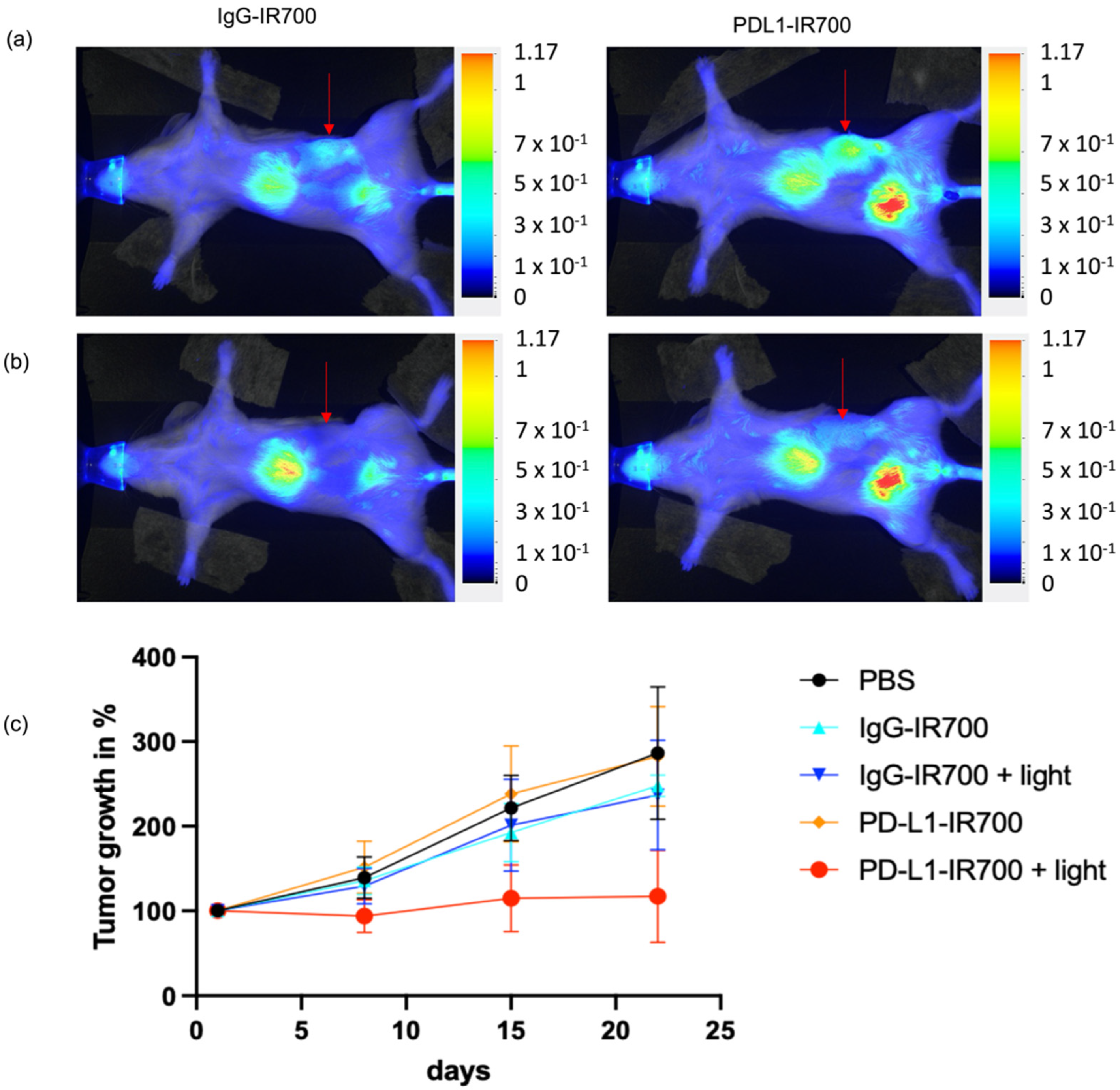 Cancers 14 00619 g005 550