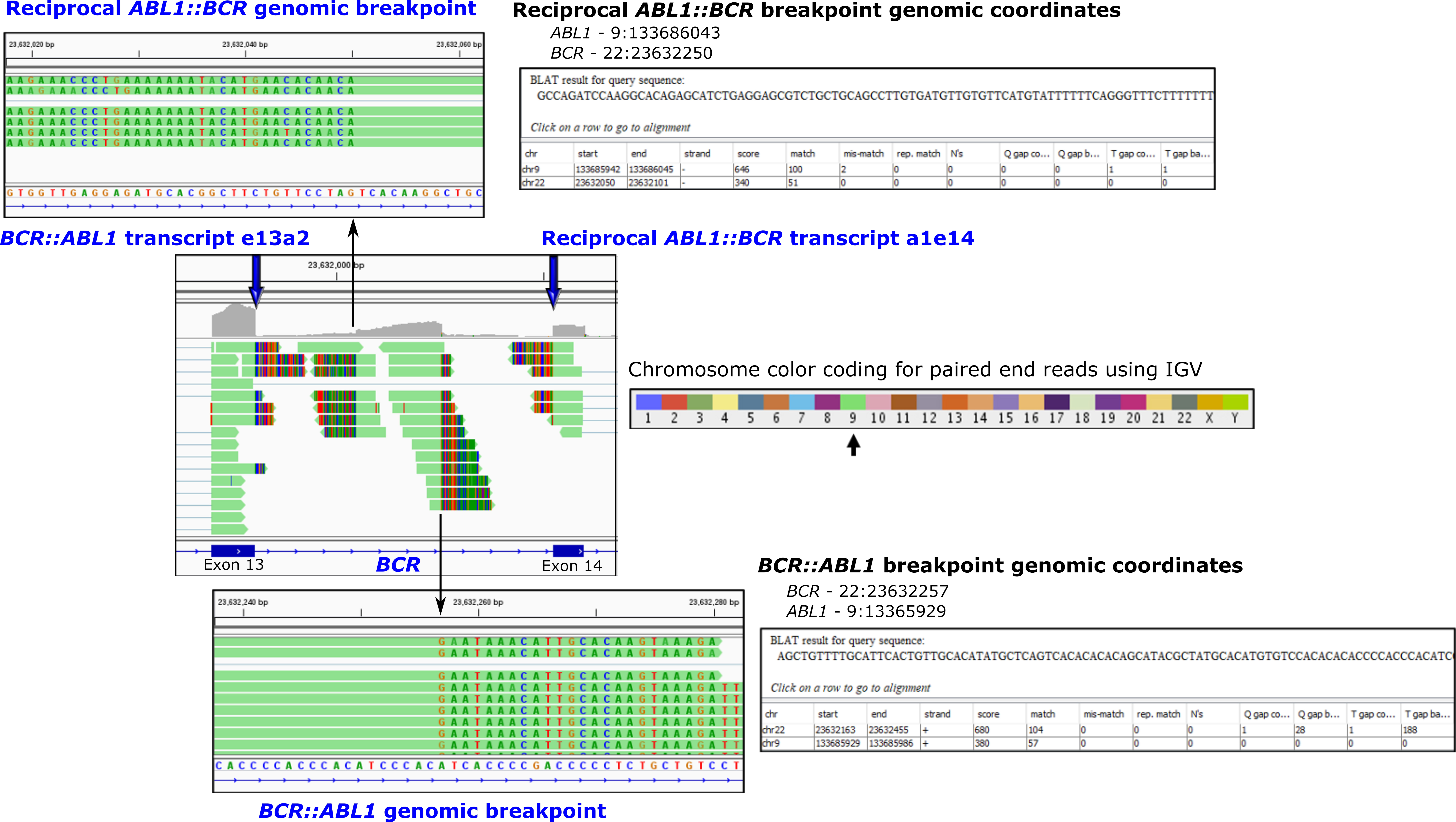 Cancers 14 00620 g002 Cancers 14 00620 g002