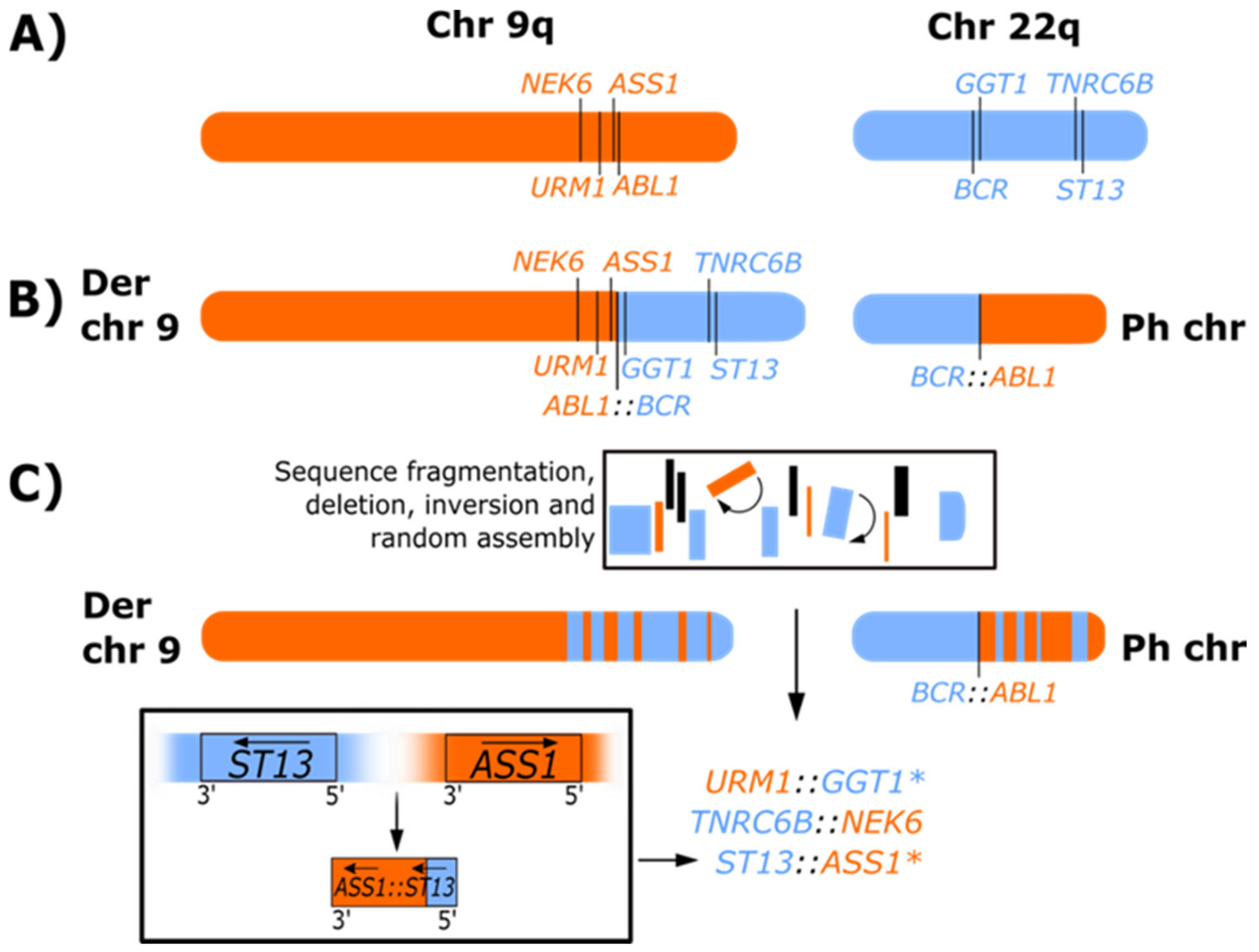 Cancers 14 00620 g003 Cancers 14 00620 g003