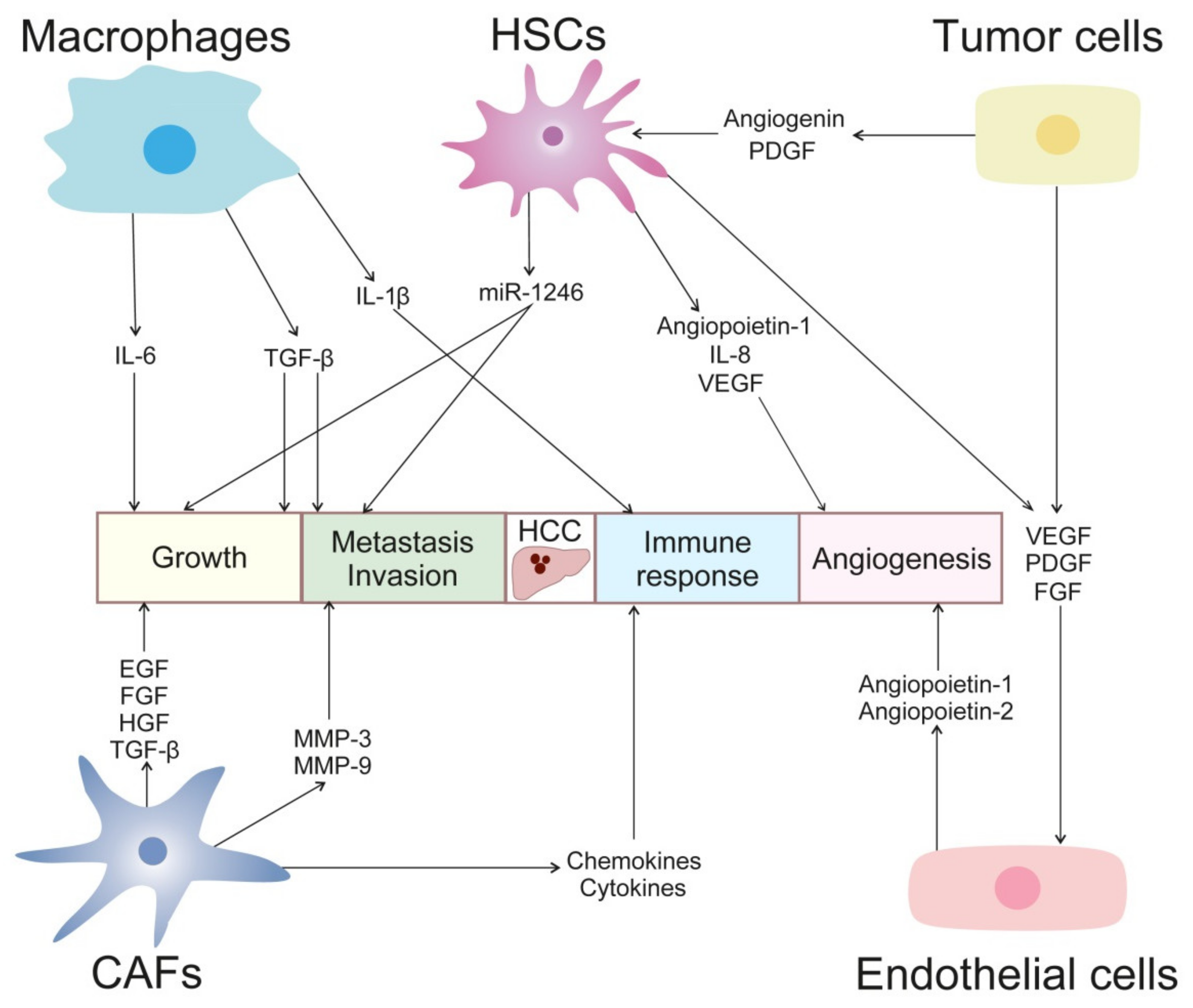 Cancers 14 00621 g002