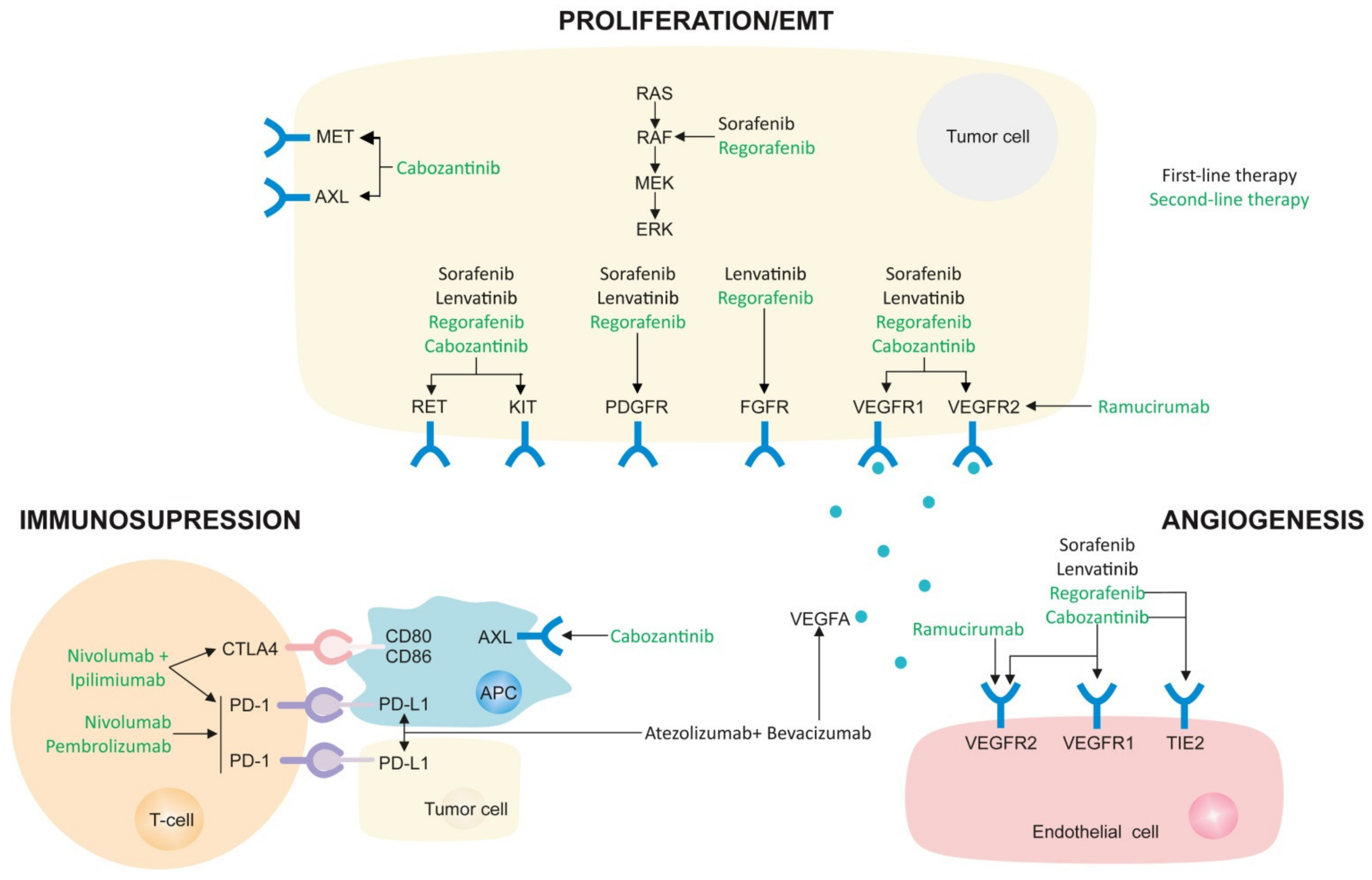 Cancers 14 00621 g003