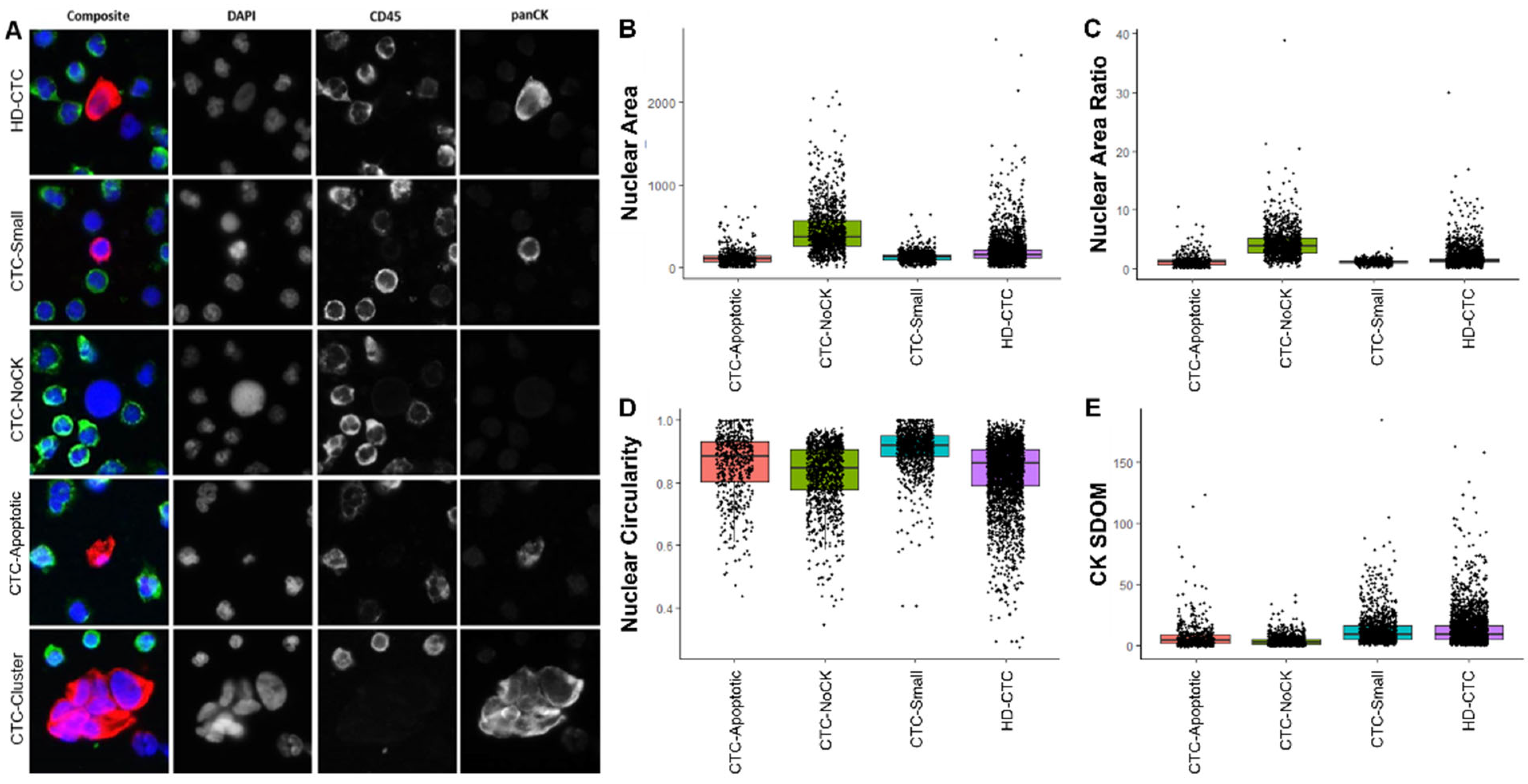 Cancers 14 00642 g001 Cancers 14 00642 g001