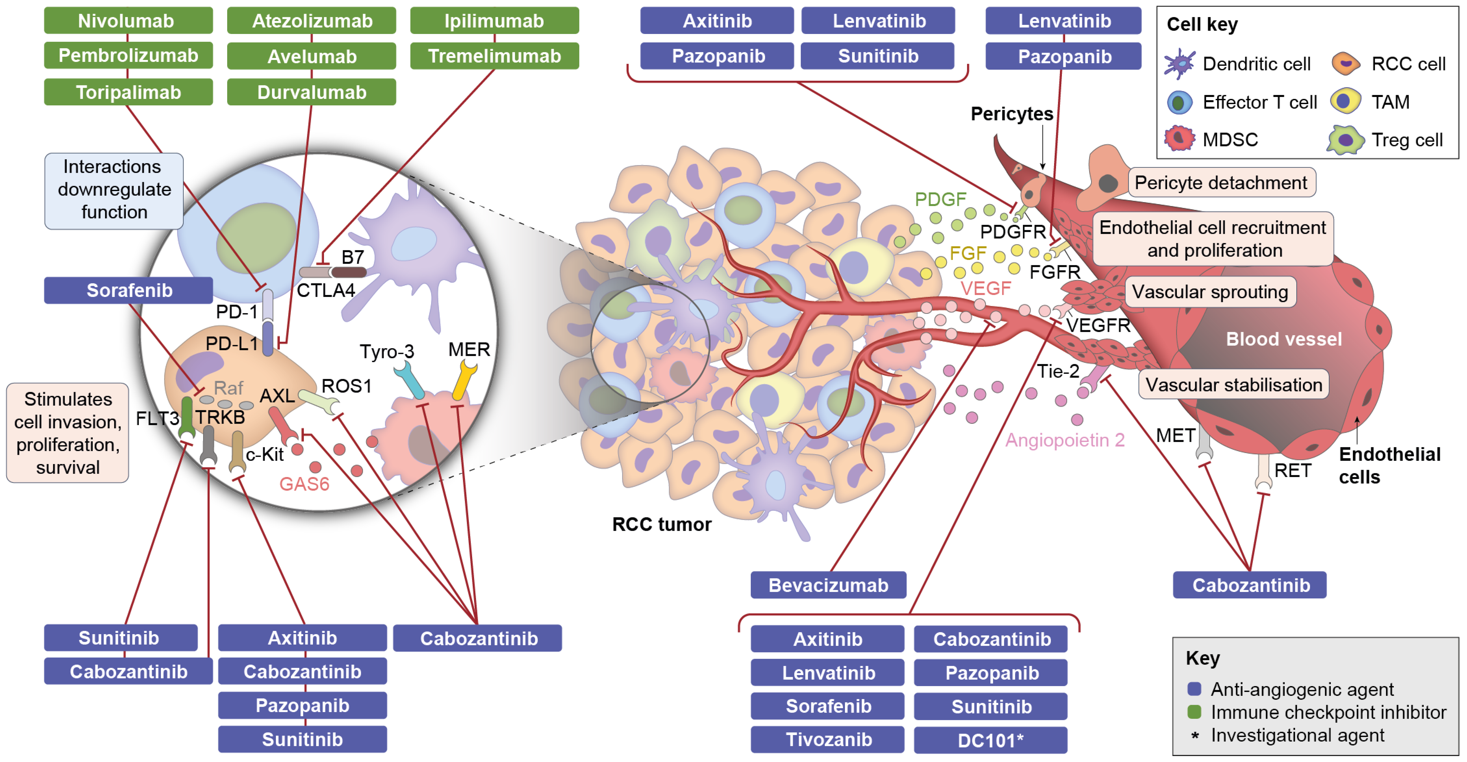Cancers 14 00644 g002 Cancers 14 00644 g002