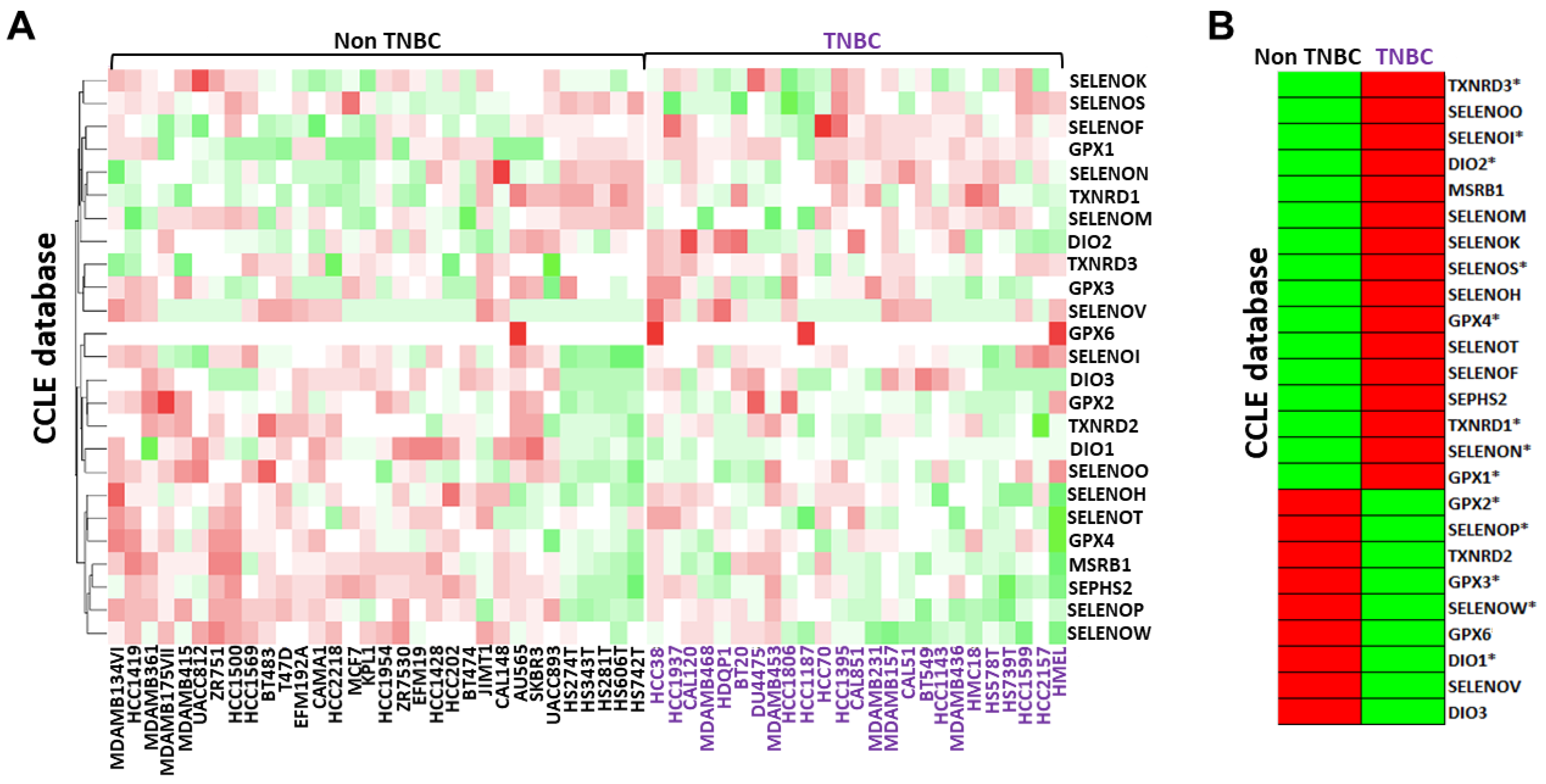 Cancers 14 00646 g001