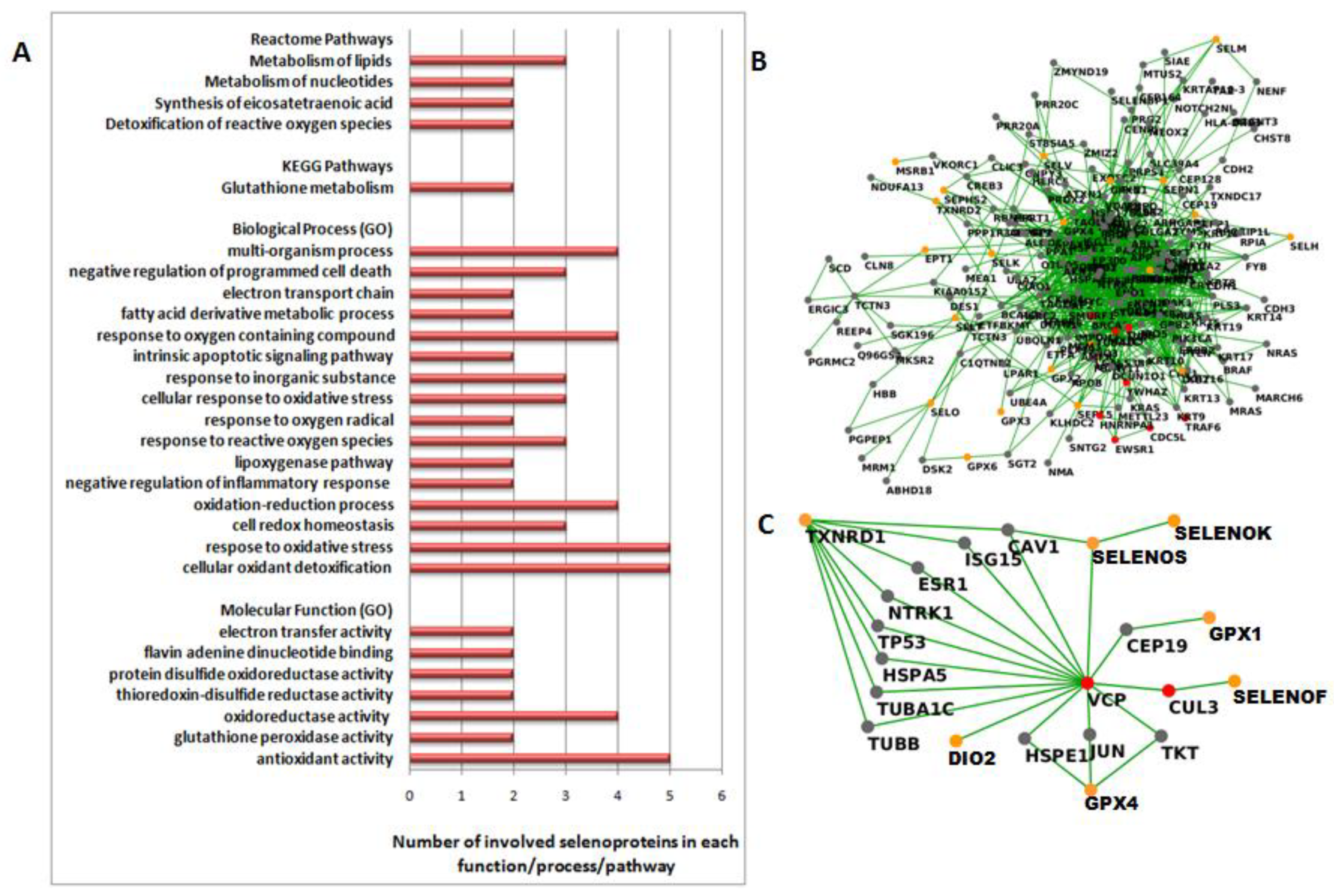 Cancers 14 00646 g003