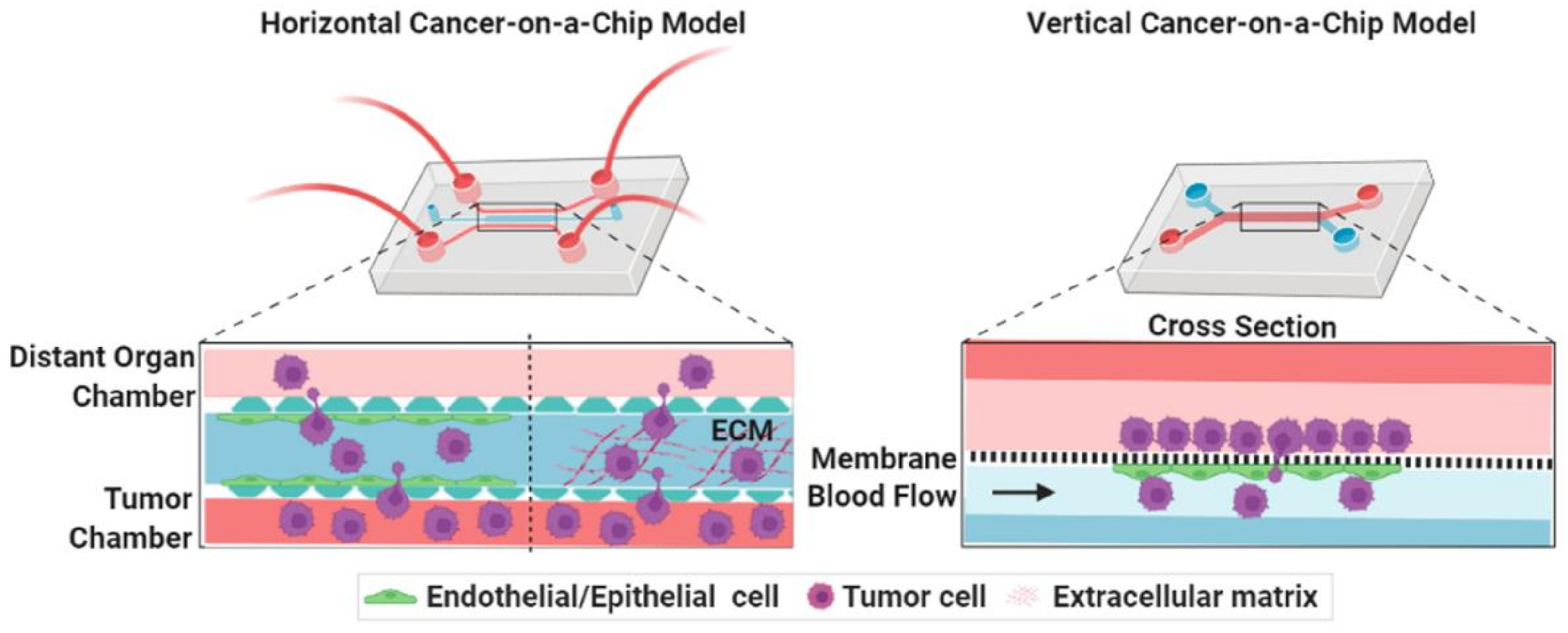 Cancers 14 00648 g002