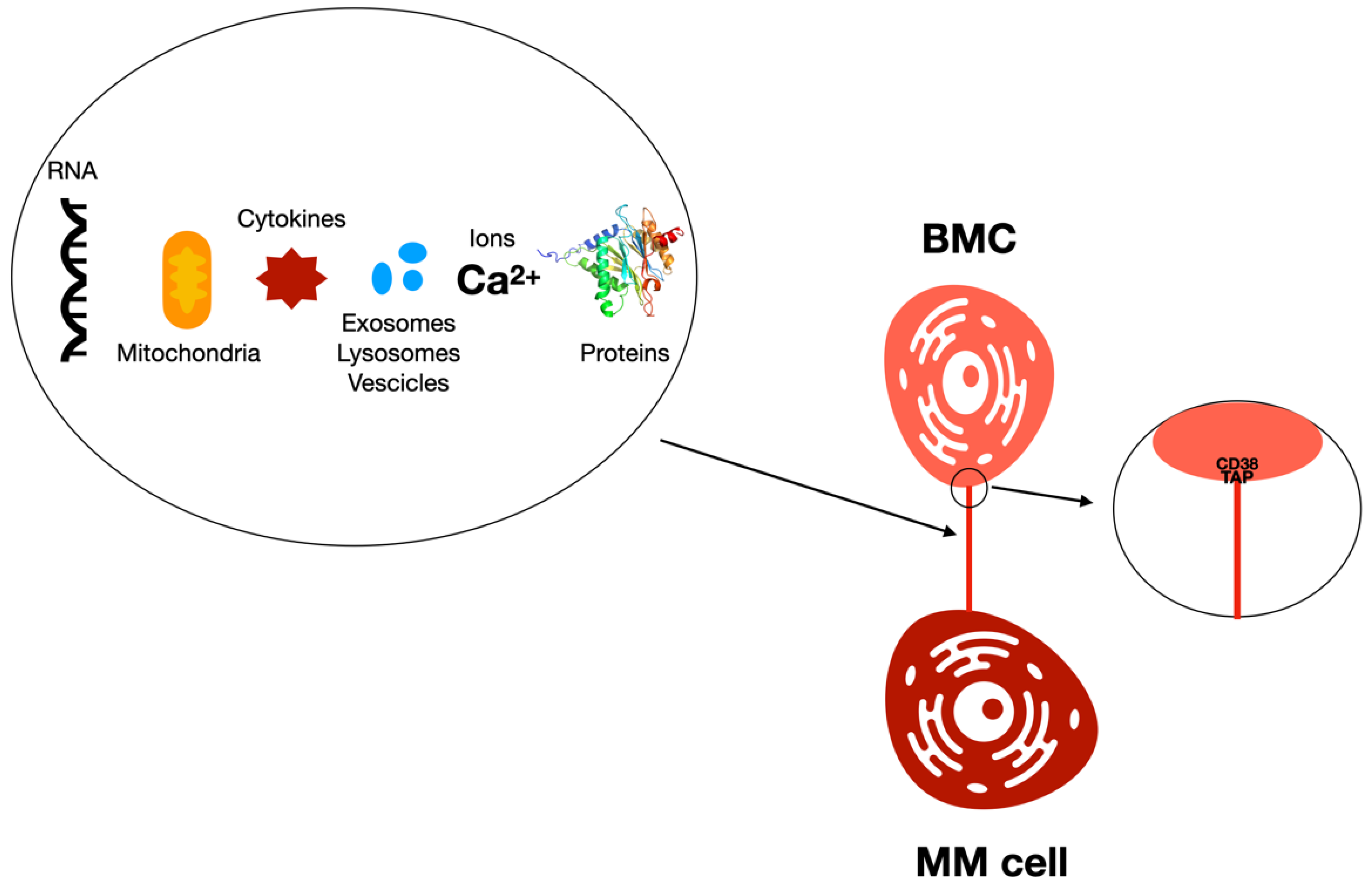 Cancers 14 00659 g003 Cancers 14 00659 g003