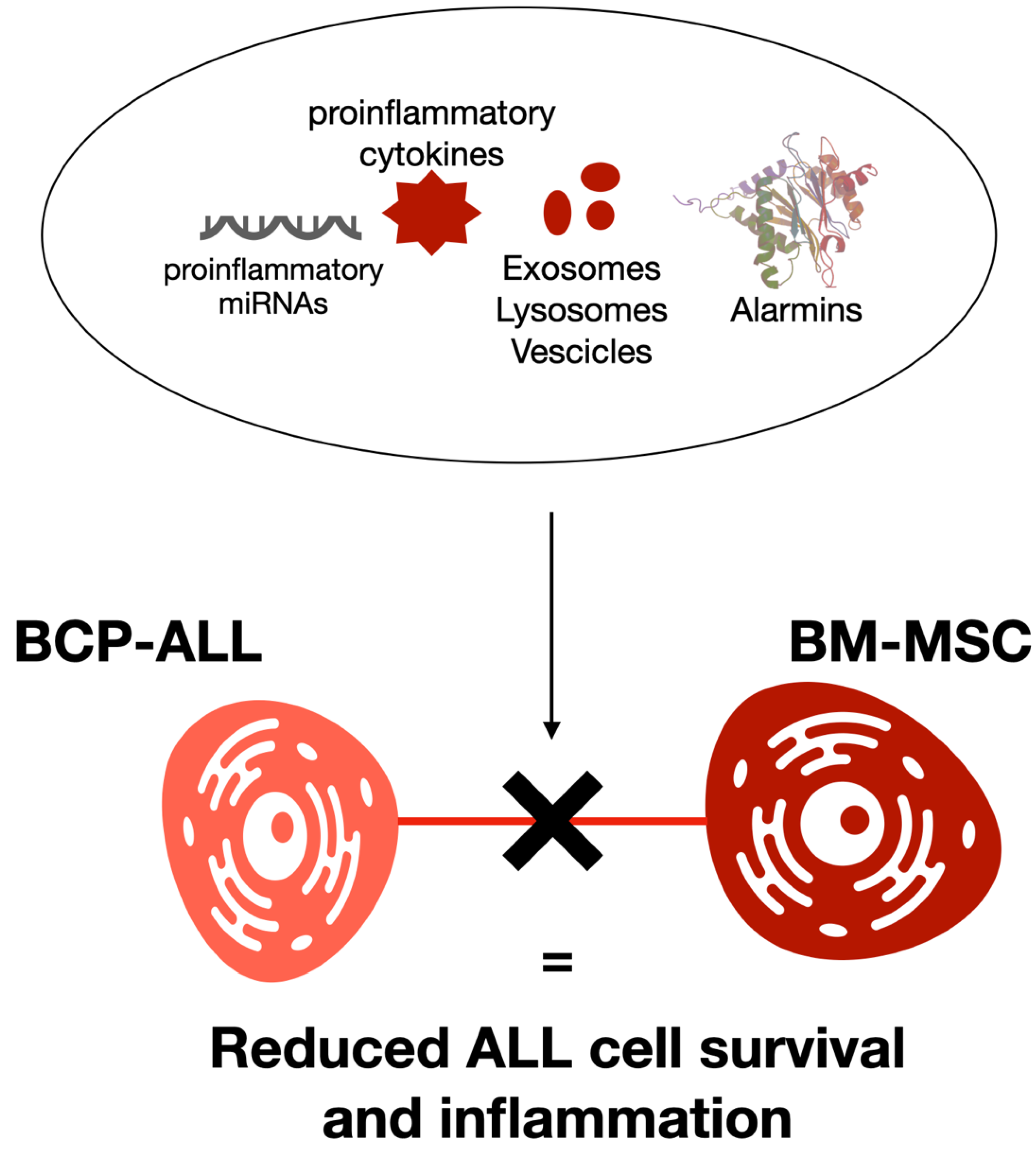Cancers 14 00659 g004 Cancers 14 00659 g004