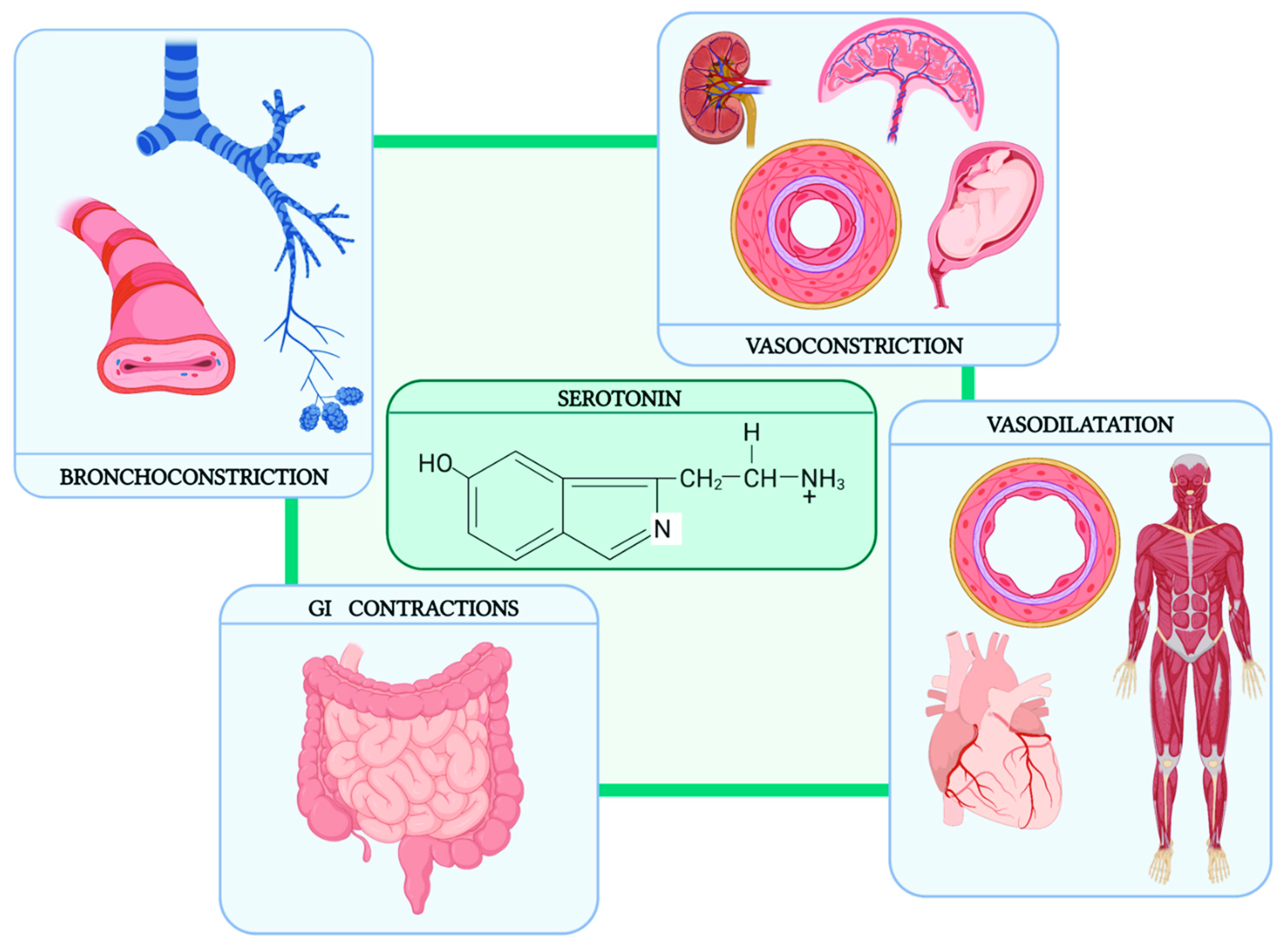 Cancers 14 00662 g002