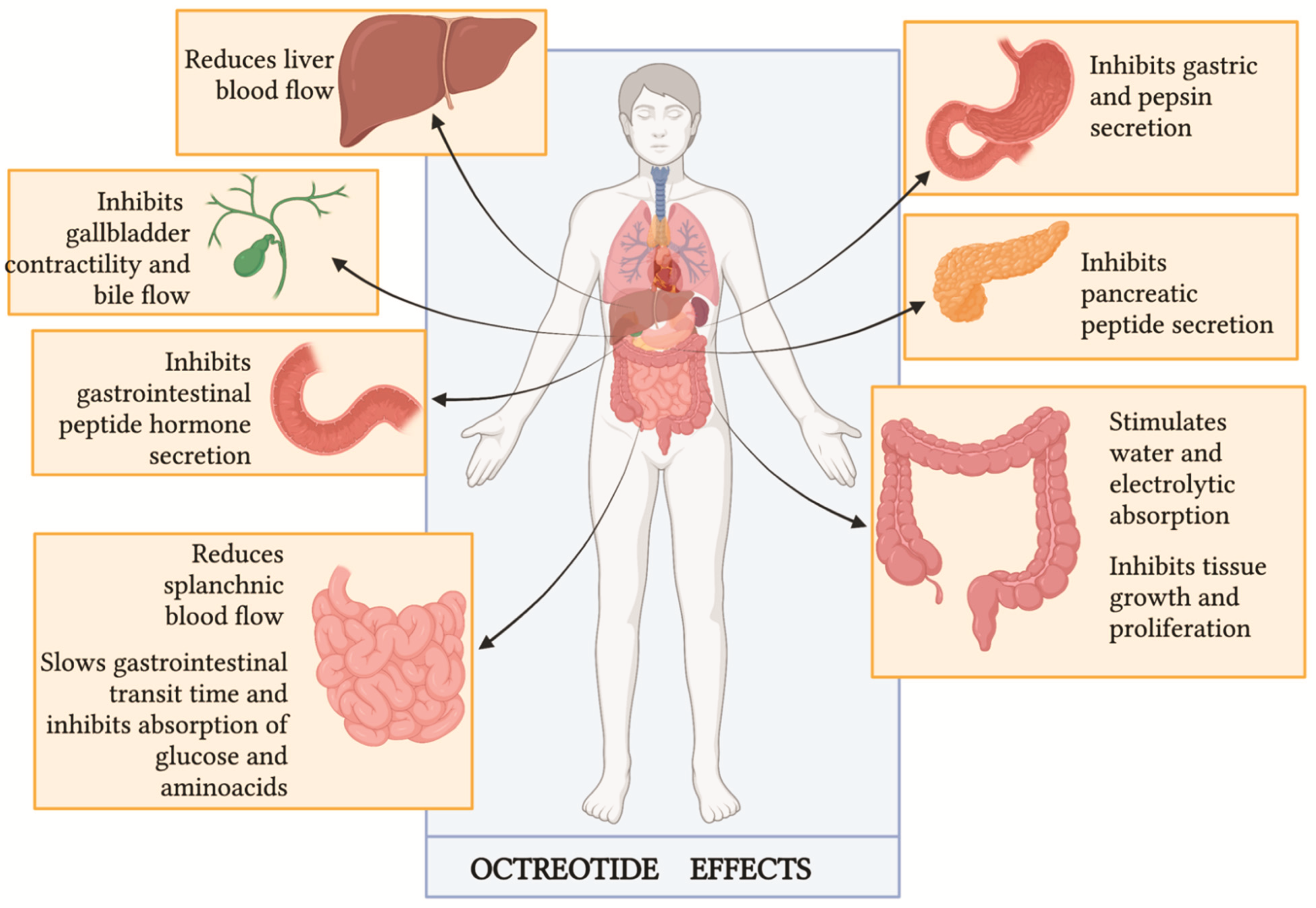 Cancers 14 00662 g003