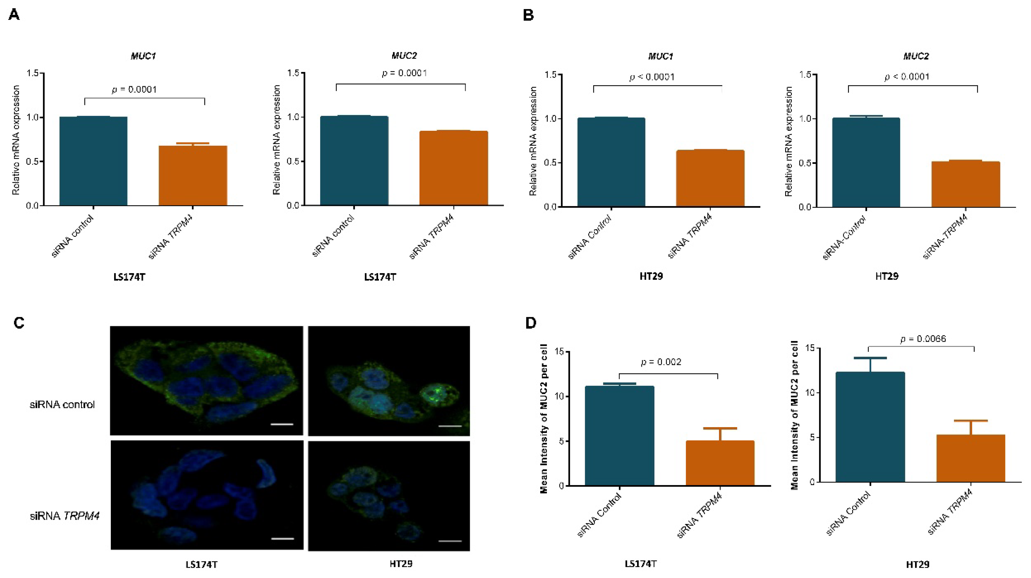 Cancers 14 00670 g004 550