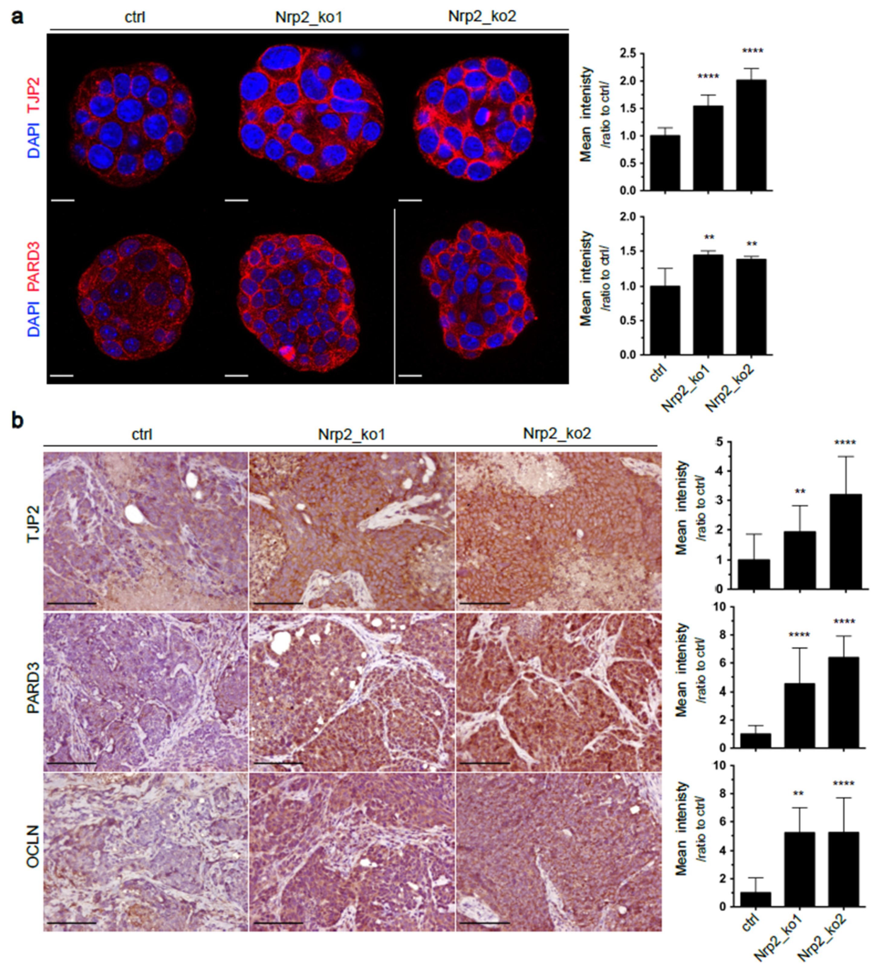 Cancers 14 00671 g001 550